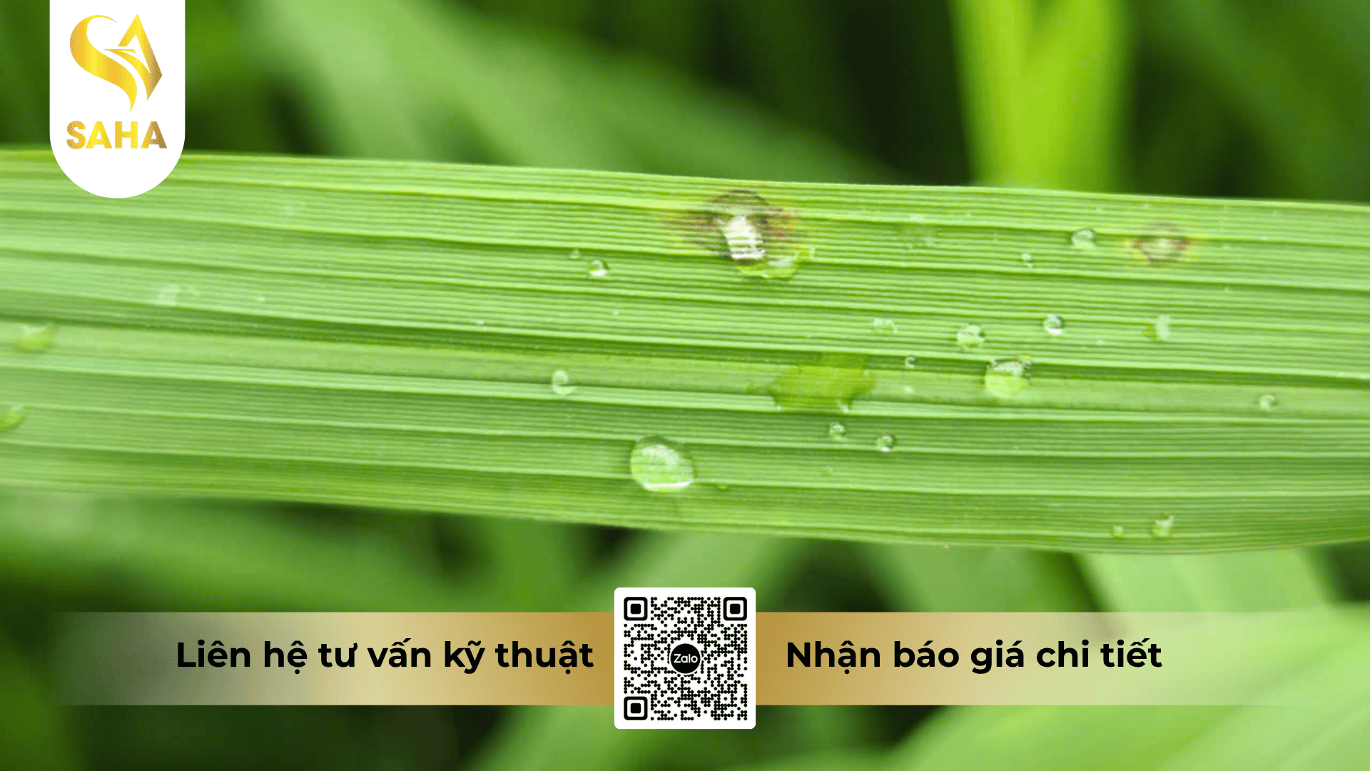 cong-dung-thuoc-tru-benh-bim-annong-45sc.png