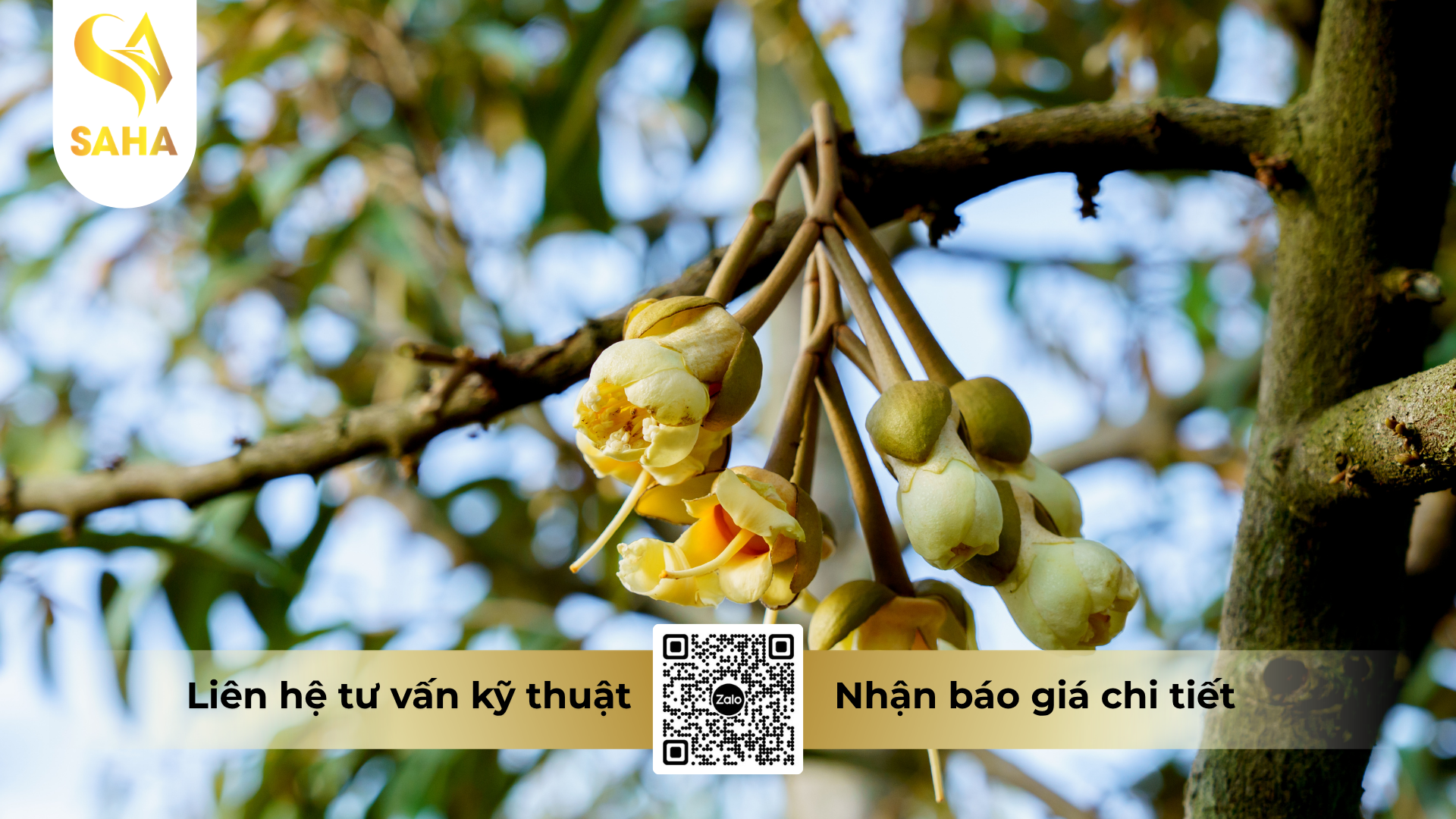 cong-dung-cua-phan-bon-monokali-phosphat-pvc-mkp-hieu-mkp-2zn-te.png
