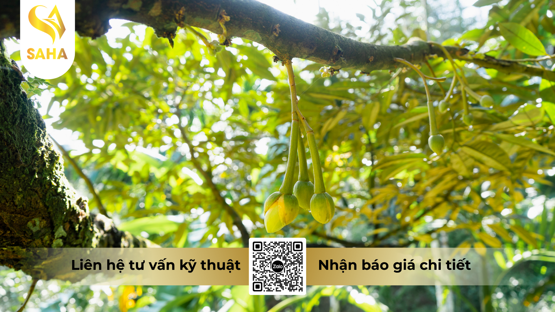 cong-dung-cua-phan-bon-vi-luong-pvc-paxlo-25-hieu-lan-happy-86-te.png