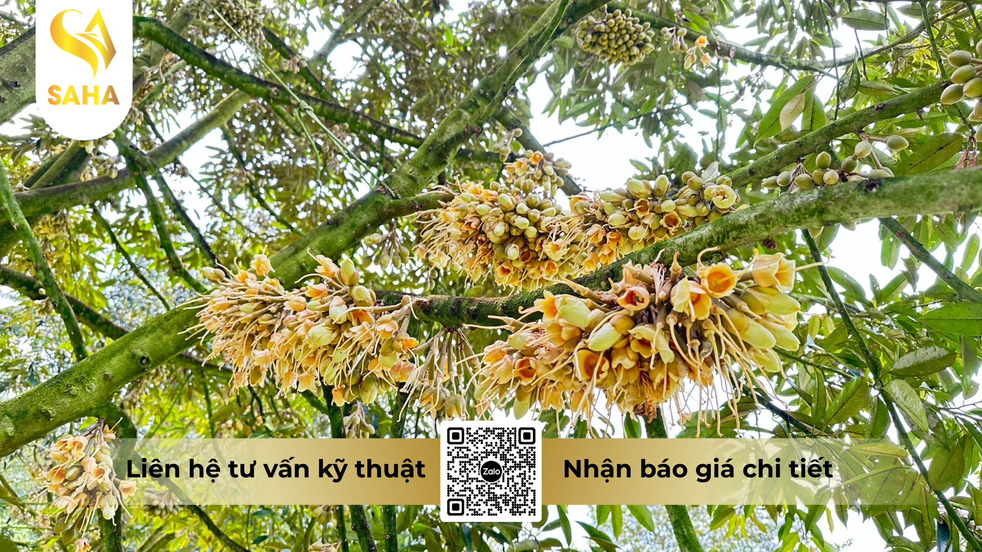 cau-hoi-thuong-gap-ve-phan-bon-vi-luong-pvc-paxlo-25-hieu-lan-happy-86-te.png