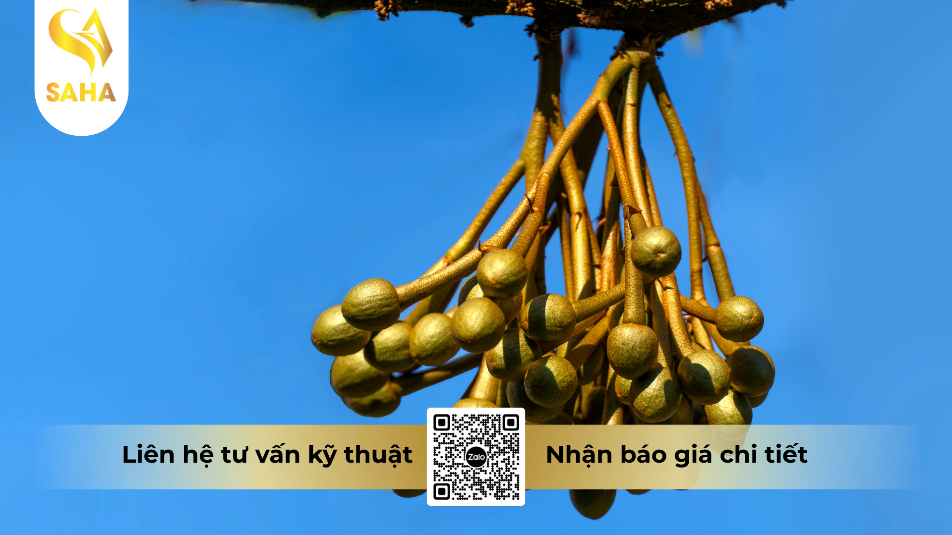 cau-hoi-thuong-gap-ve-phan-bon-la-nk-huu-co-abc-kahubo-hieu-sieu-dinh-duong.png