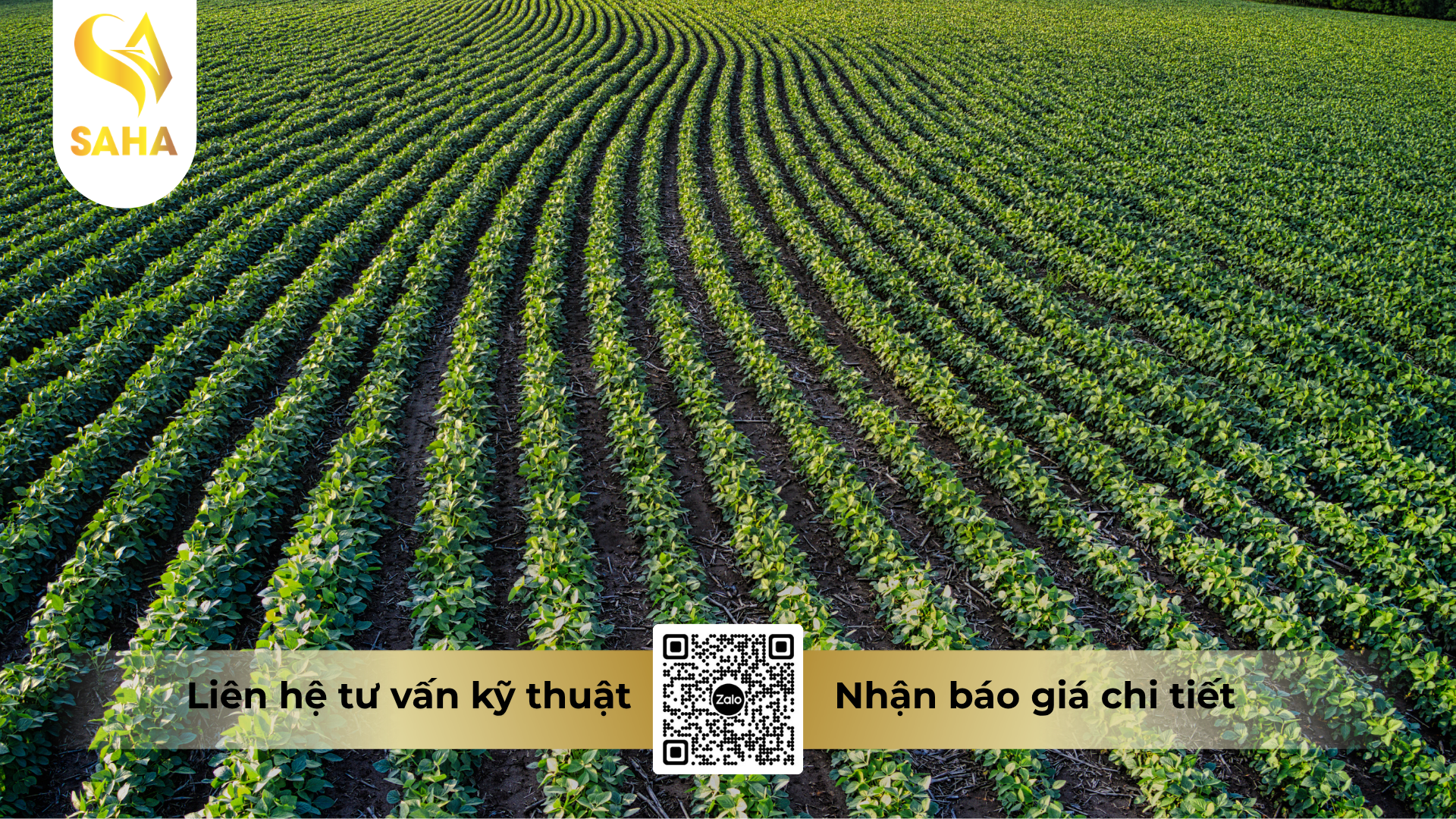 cau-hoi-thuong-gap-ve-phan-bon-la-huu-co-amino-turkey.png