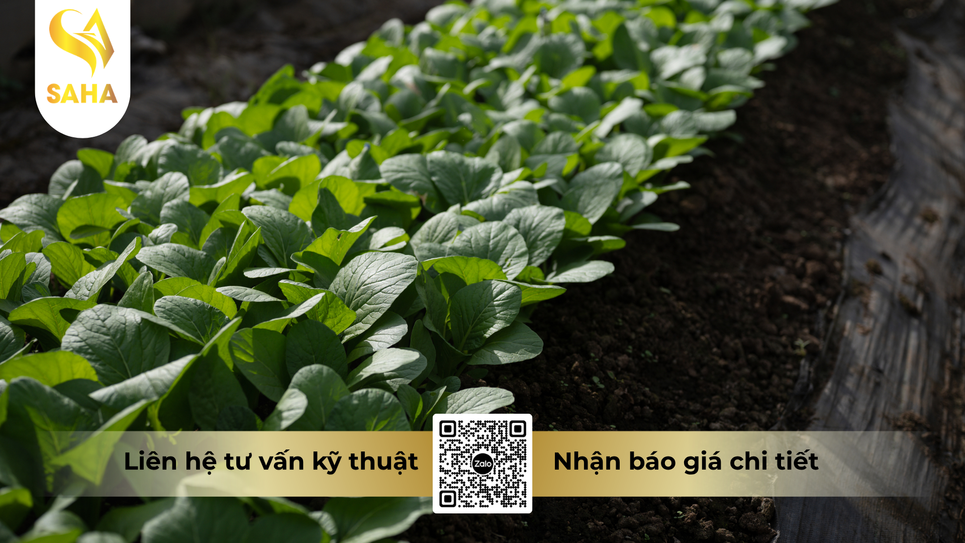 cong-dung-cua-phan-bon-amino-mine-npk-13-5-7-hieu-amino-grow-13-5-7-ahm.png