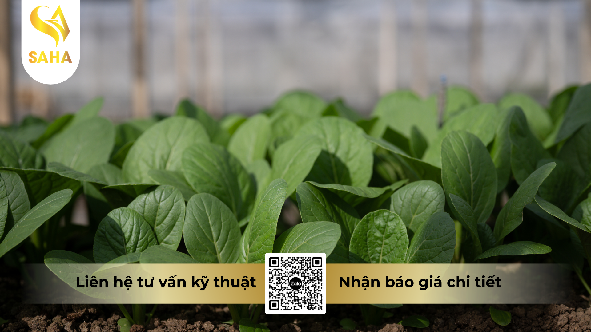 cau-hoi-thuong-gap-ve-phan-bon-amino-mine-npk-13-5-7-hieu-amino-grow-13-5-7-ahm.png