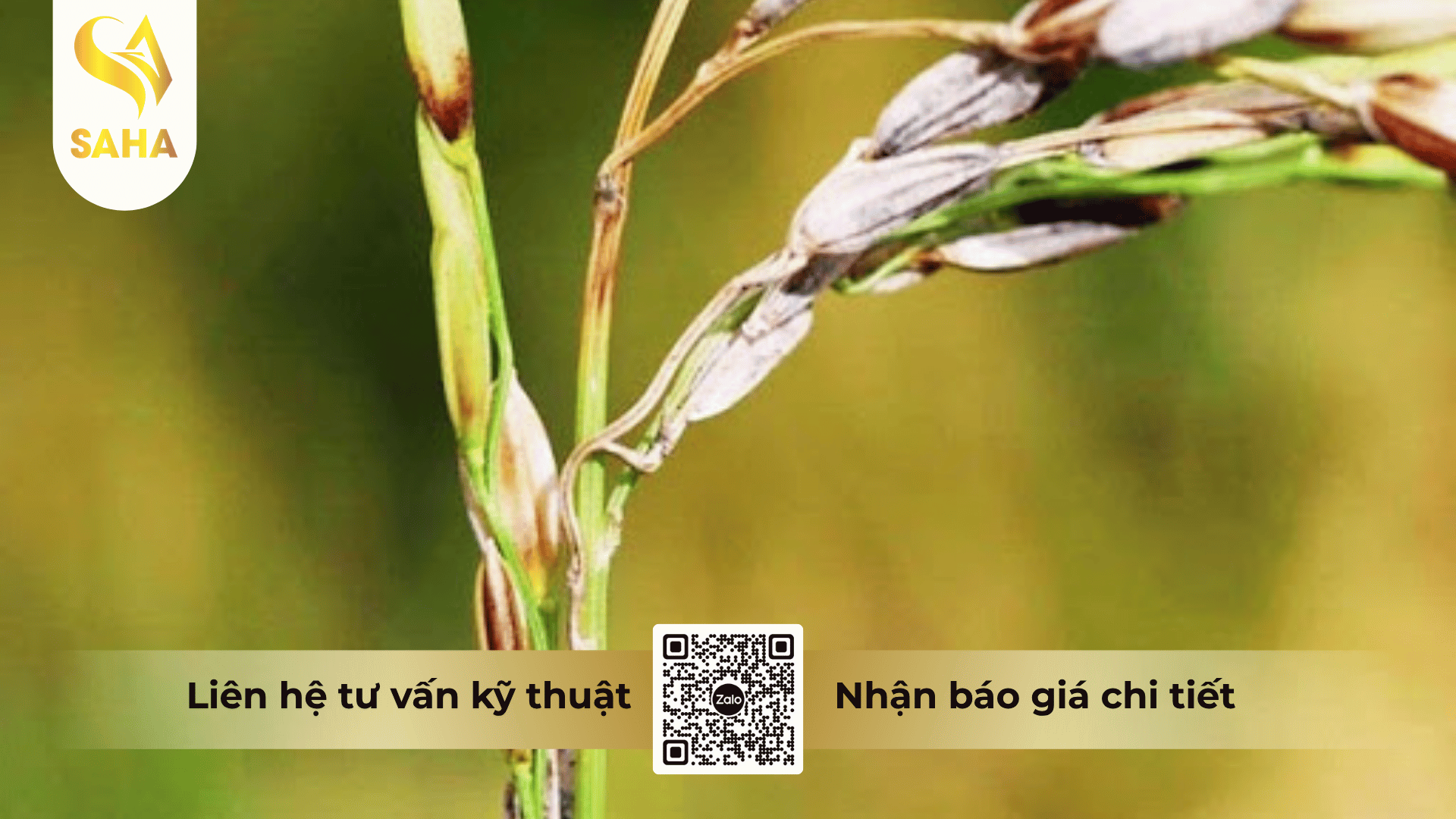 cong-dung-thuoc-tru-benh-bimsuper-650sc.png