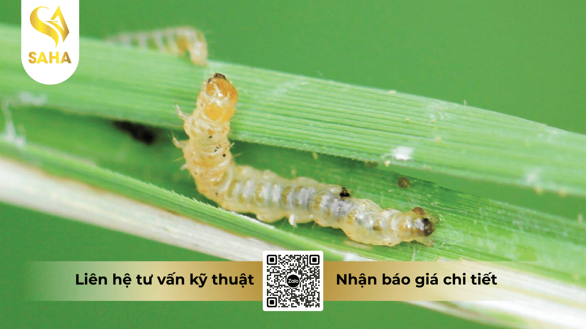 cong-dung-thuoc-tru-sau-bin-25ec.png