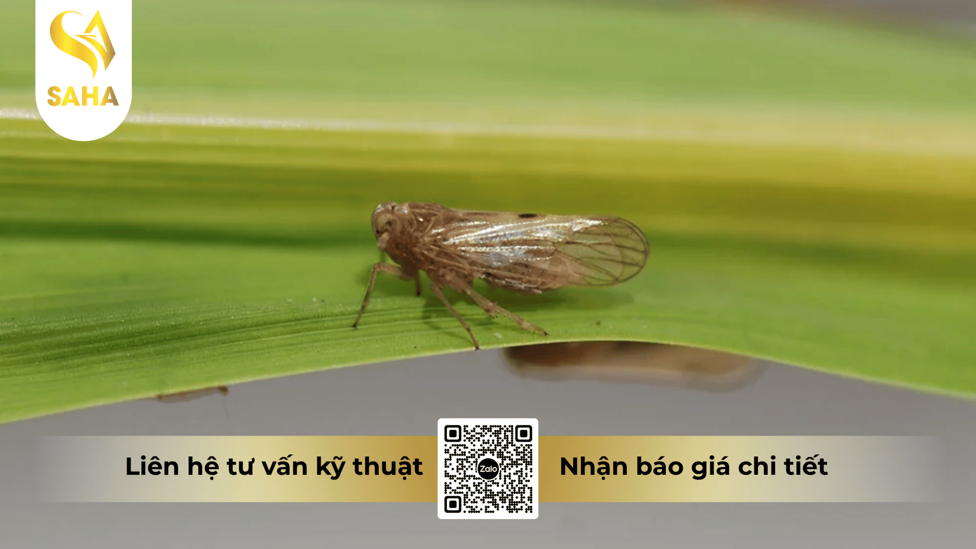 cong-dung-thuoc-tru-sau-bnongduyen-4-0ec.png