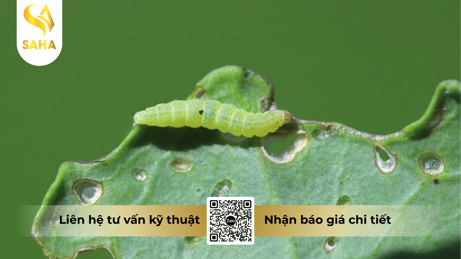 thong-tin-chung-thuoc-tru-sau-boaza-0-3ec.png