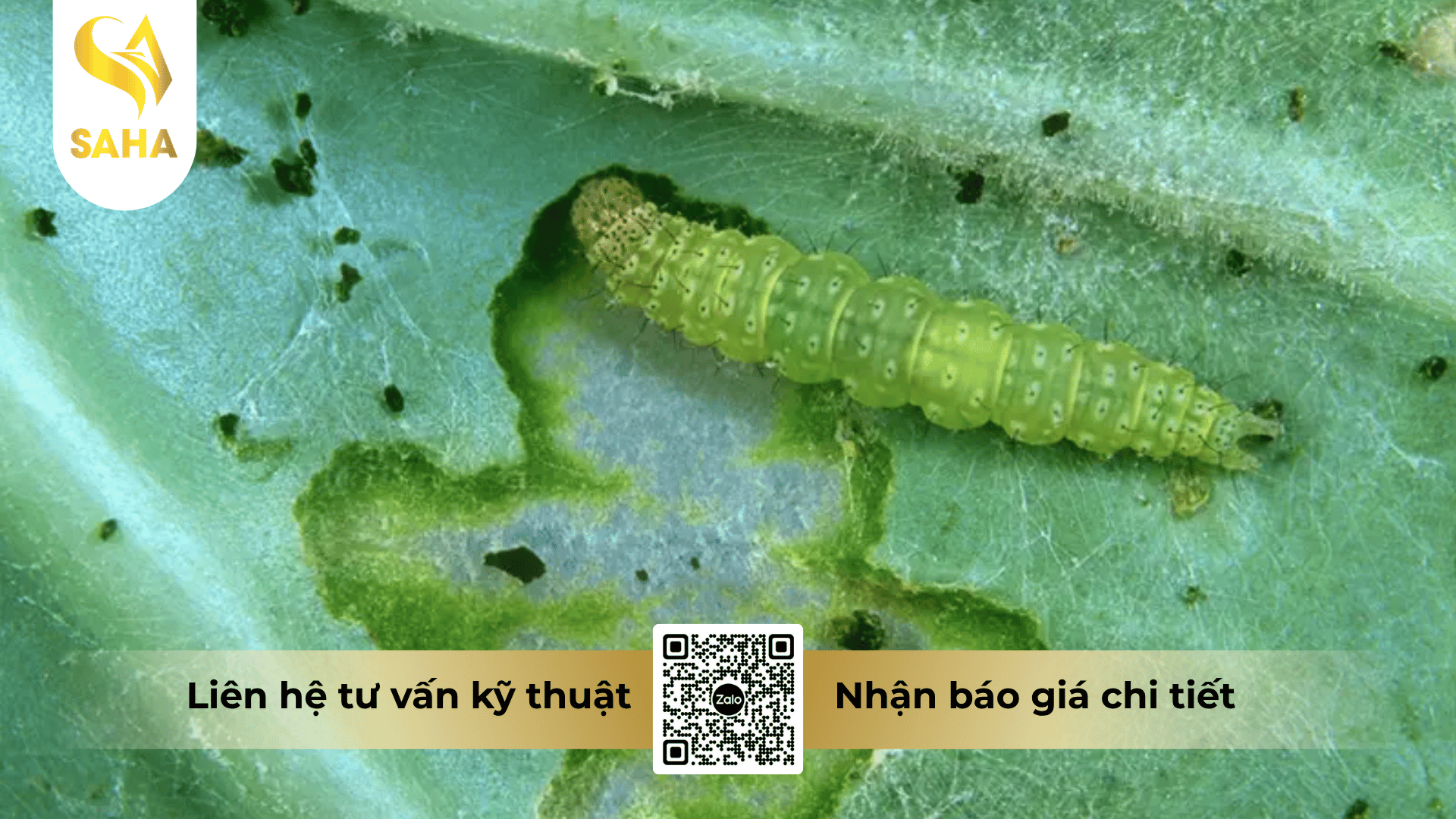 cong-dung-thuoc-tru-sau-boaza-0-3ec.png