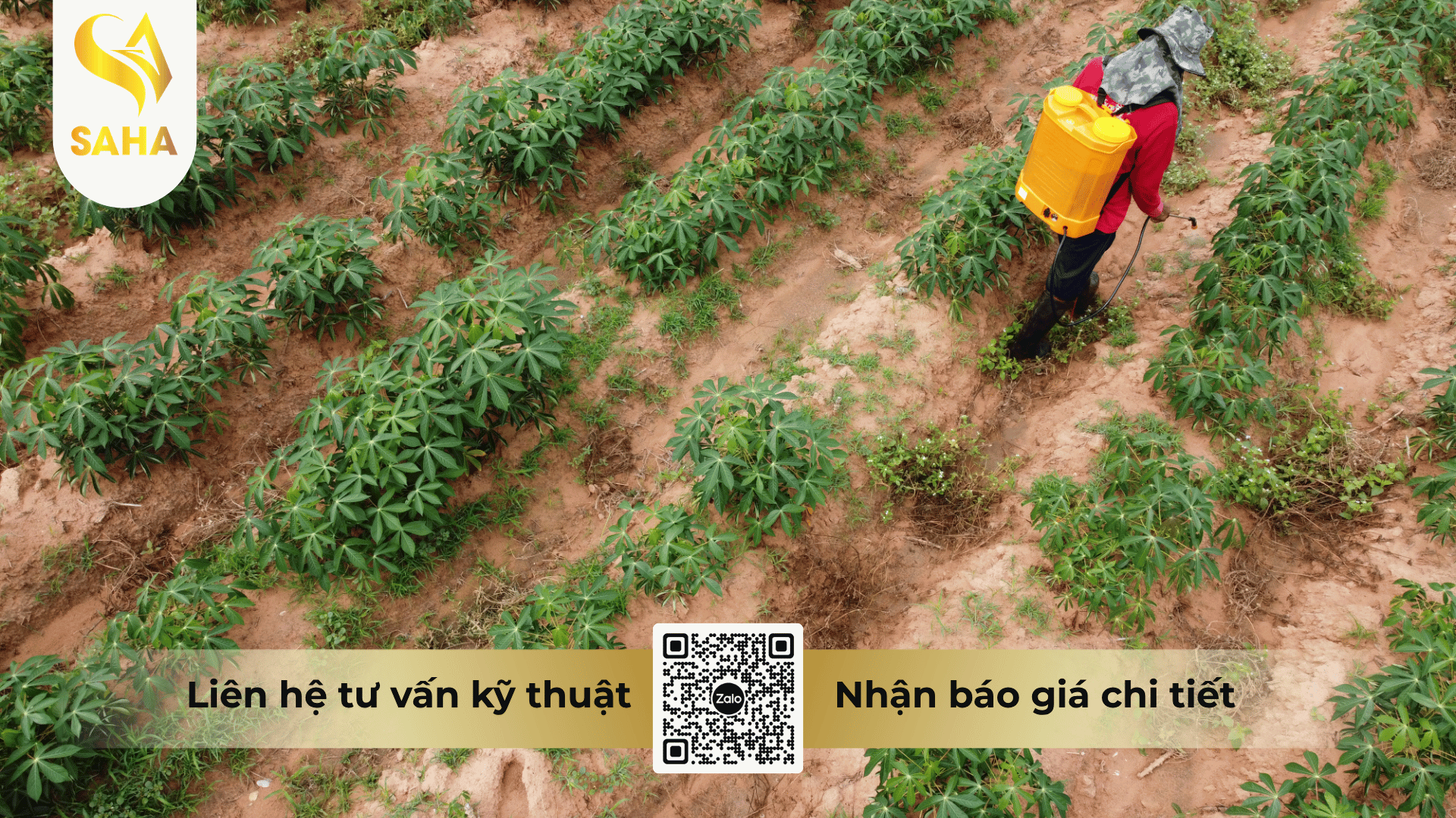 cau-hoi-thuong-gap.png