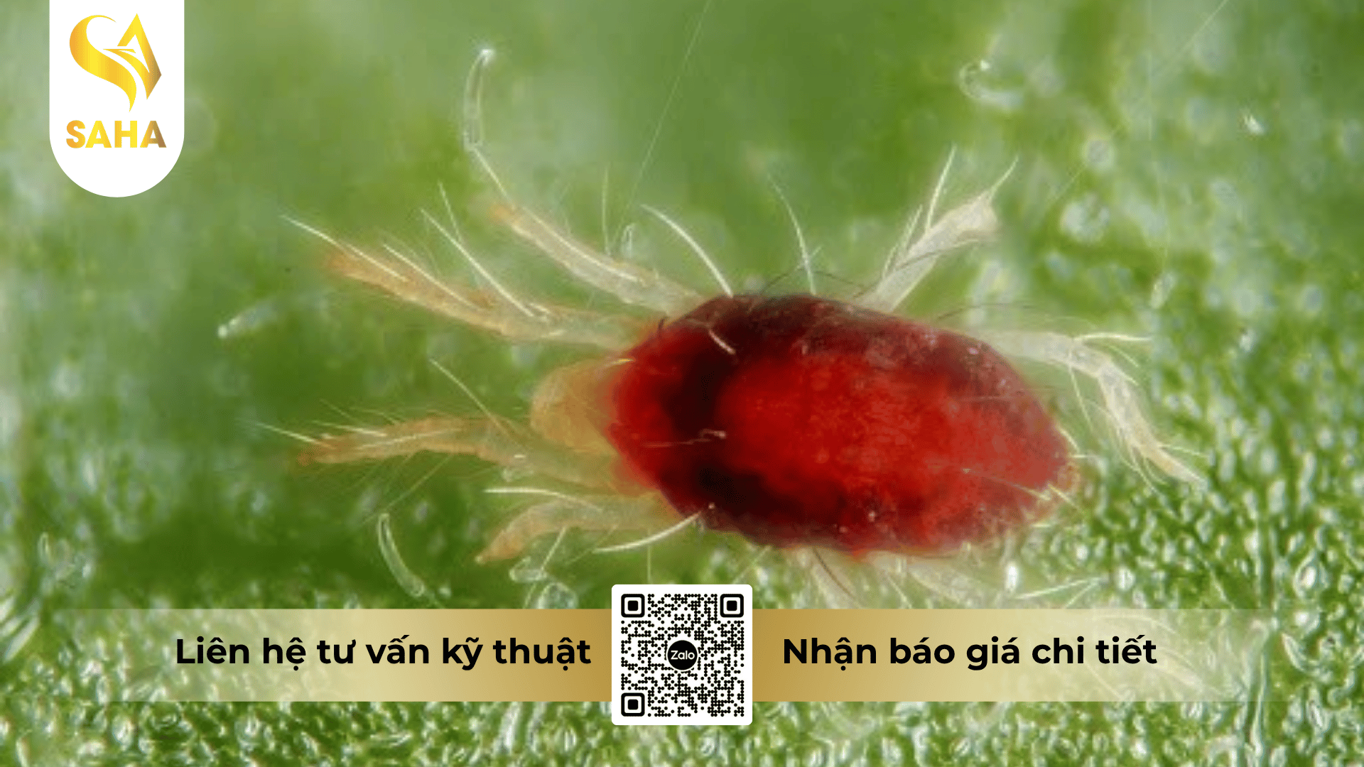 cong-dung-thuoc-tru-sau-boema-50ec.png