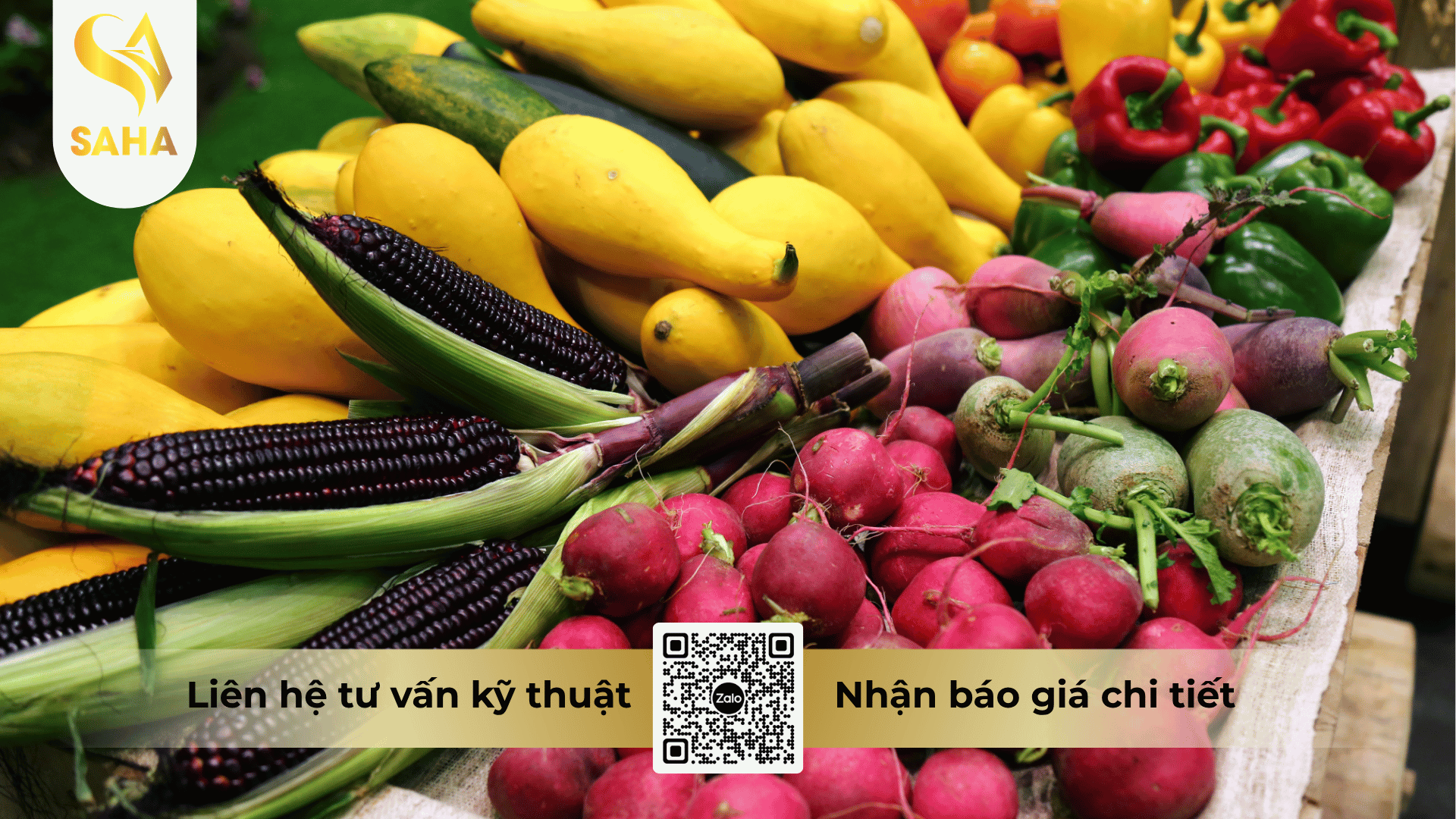 thong-tin-chung-thuoc-dieu-hoa-sinh-truong-bracylic-152wp.png
