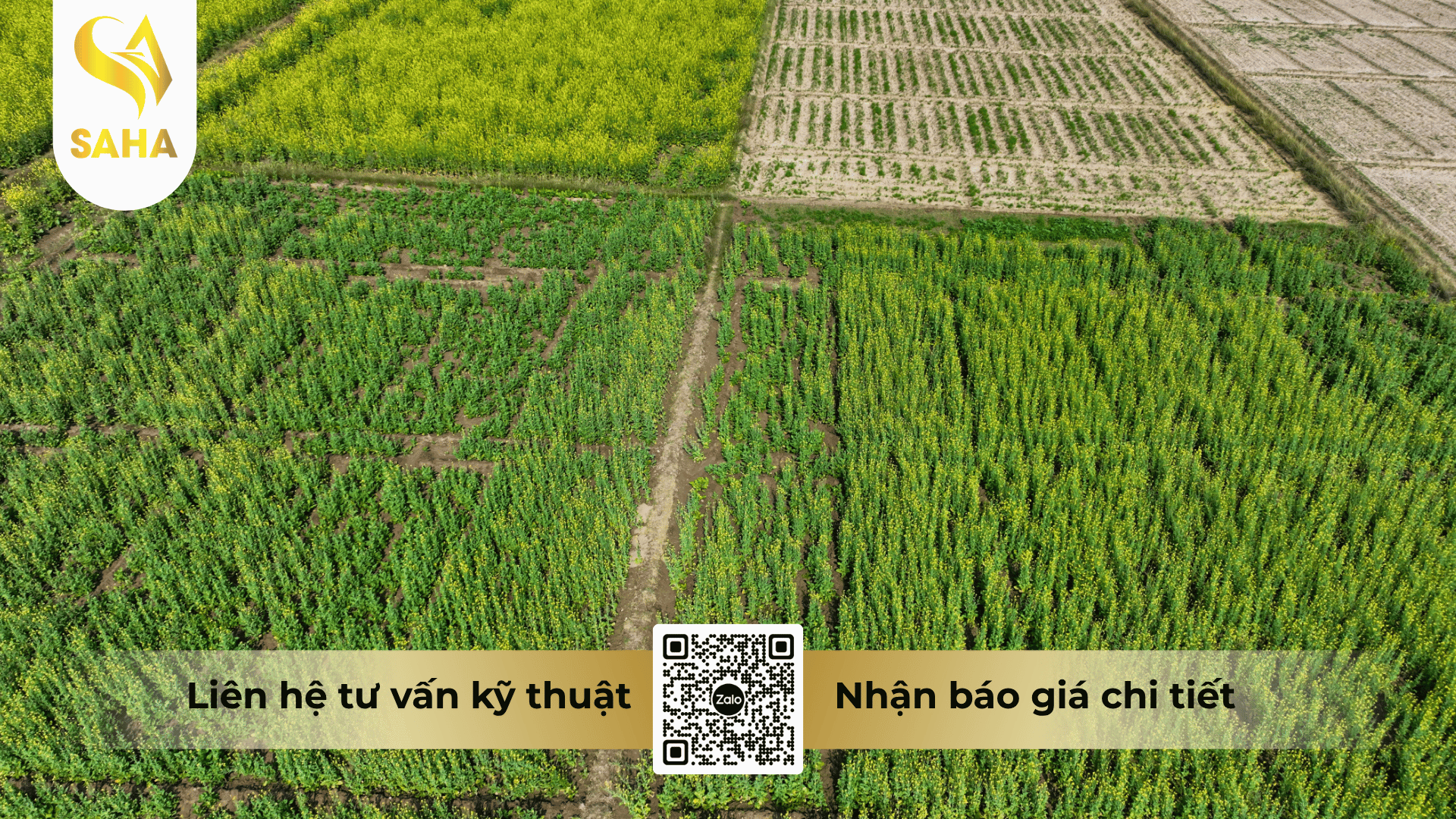 cong-dung-thuoc-dieu-hoa-sinh-truong-bracylic-152wpc.png