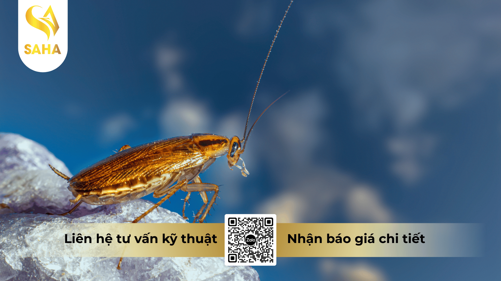 cong-dung-che-pham-by-er-berlin-10sl.png