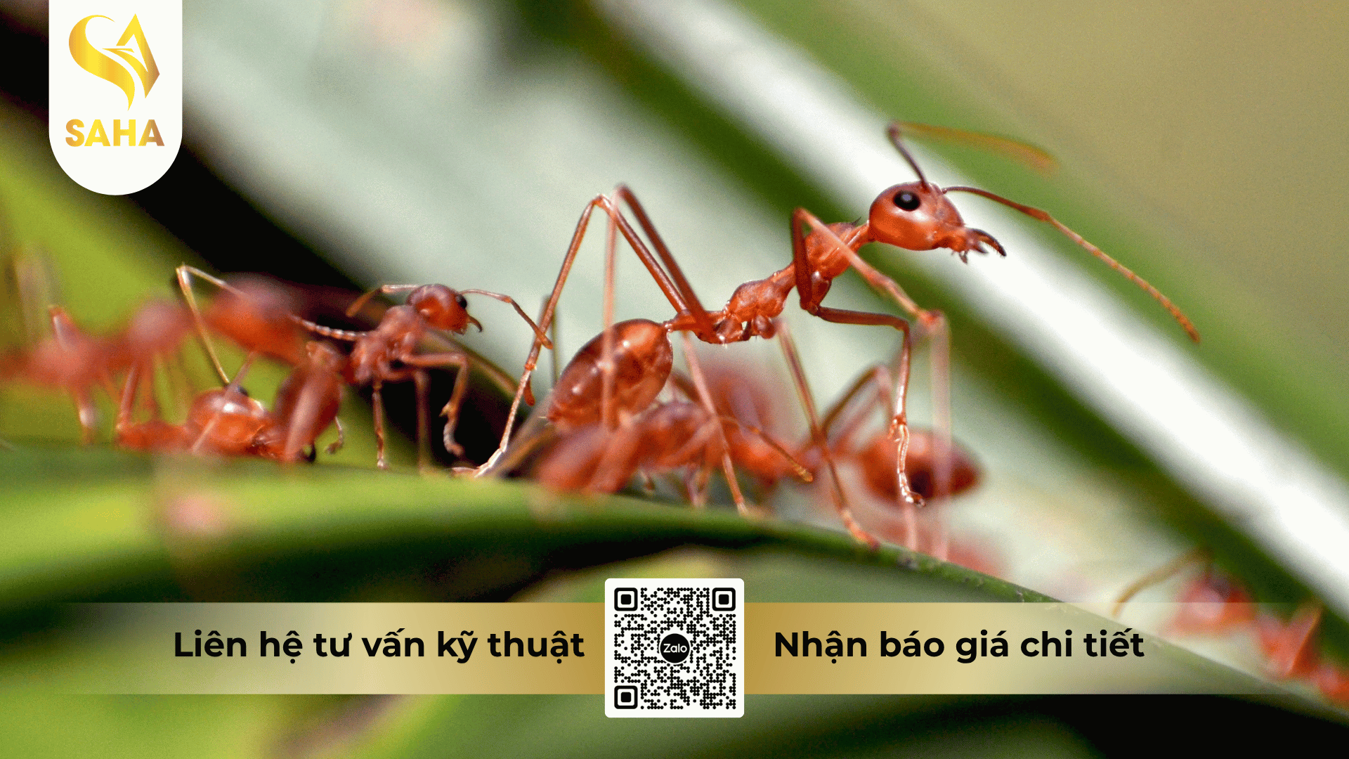 cong-dung-che-pham-by-er-dessau.png