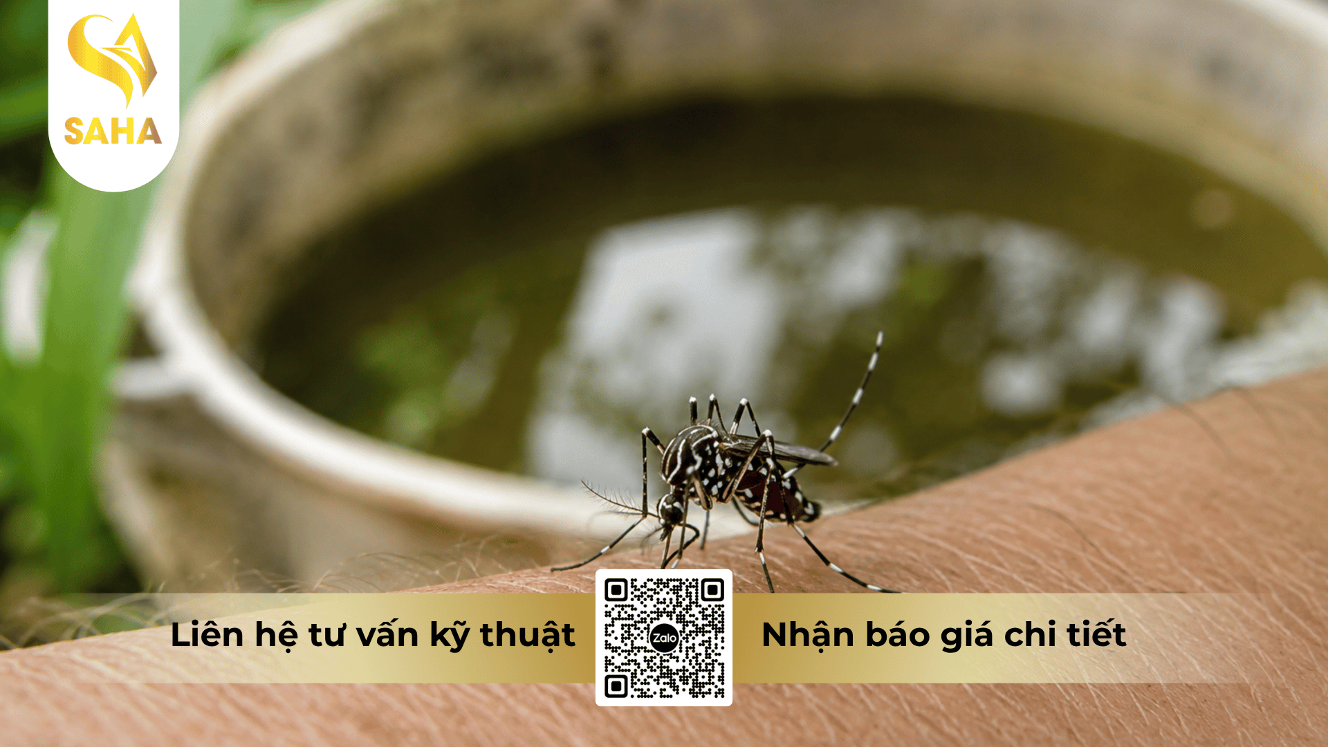 cong-dung-che-pham-by-er-domund-10wp.png