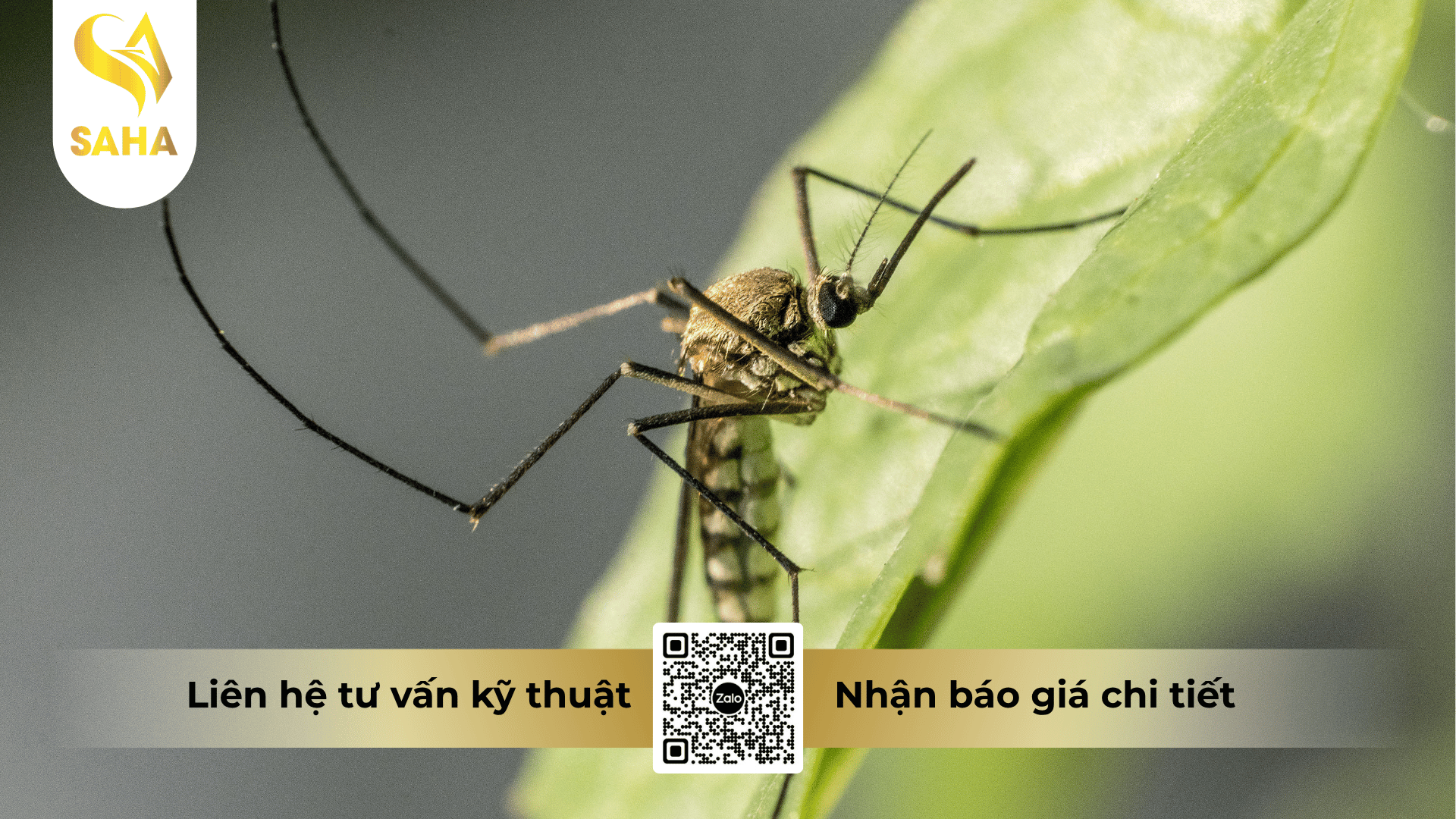 thong-tin-chung-che-pham-by-er-leverkusen-100sc.png