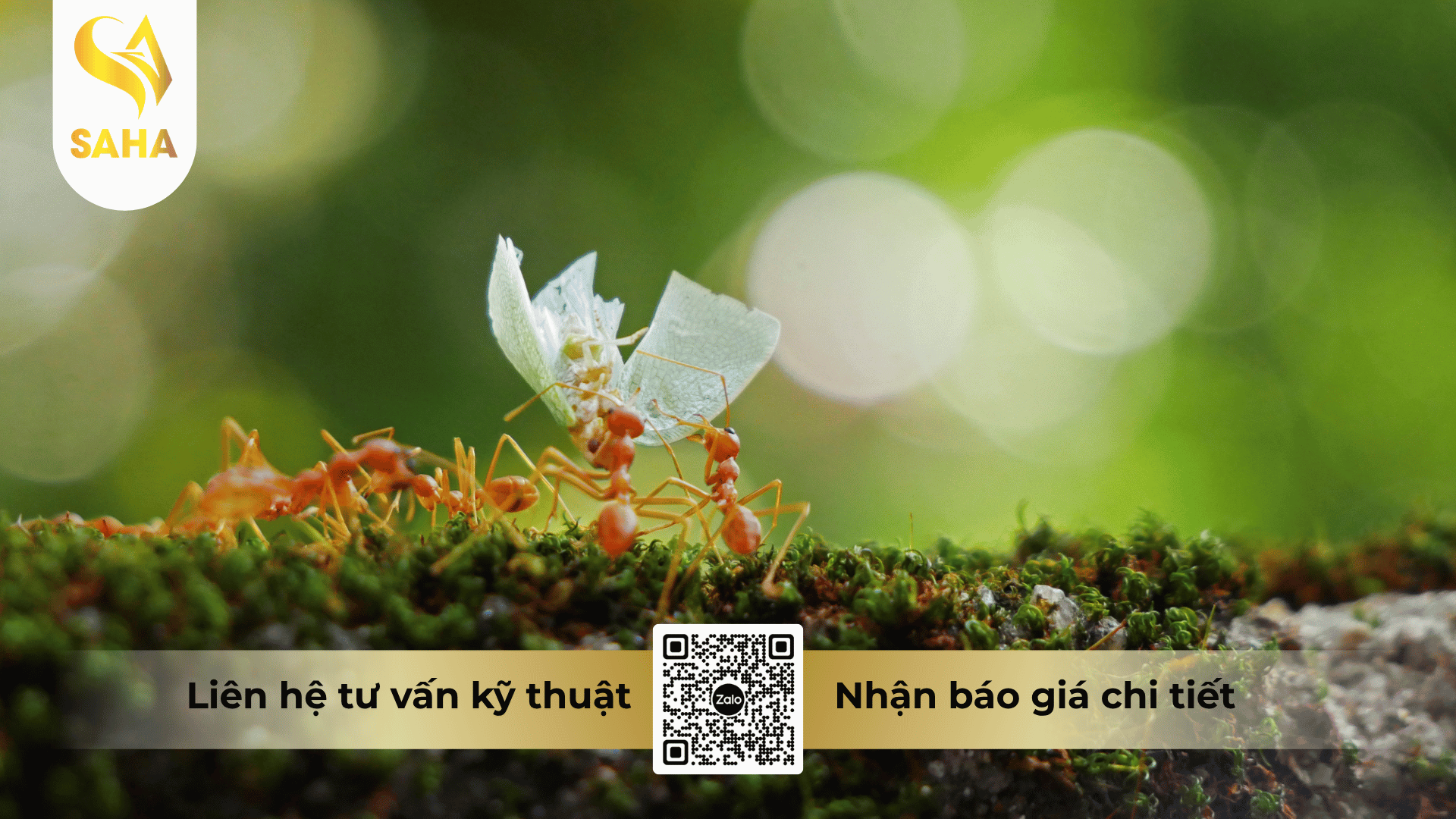 cong-dung-che-pham-by-er-leverkusen-100sc.png