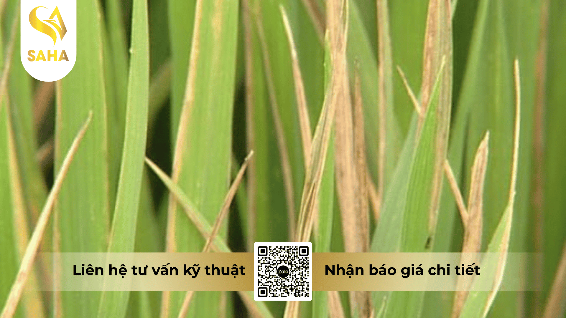cong-dung-thuoc-tru-benh-captivan-400wp.png