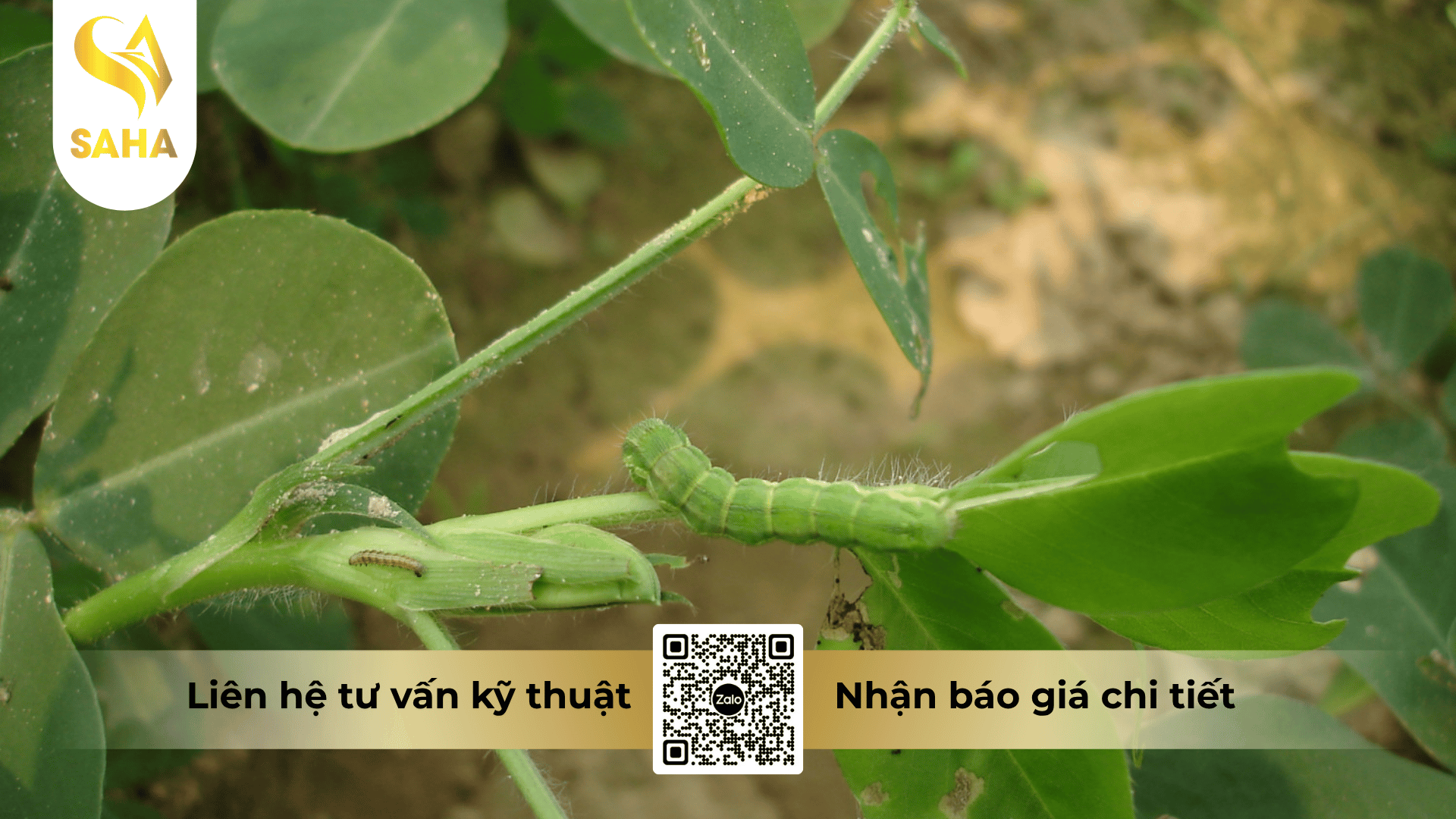 cong-dung-thuoc-tru-sau-chapyr-12sc.png