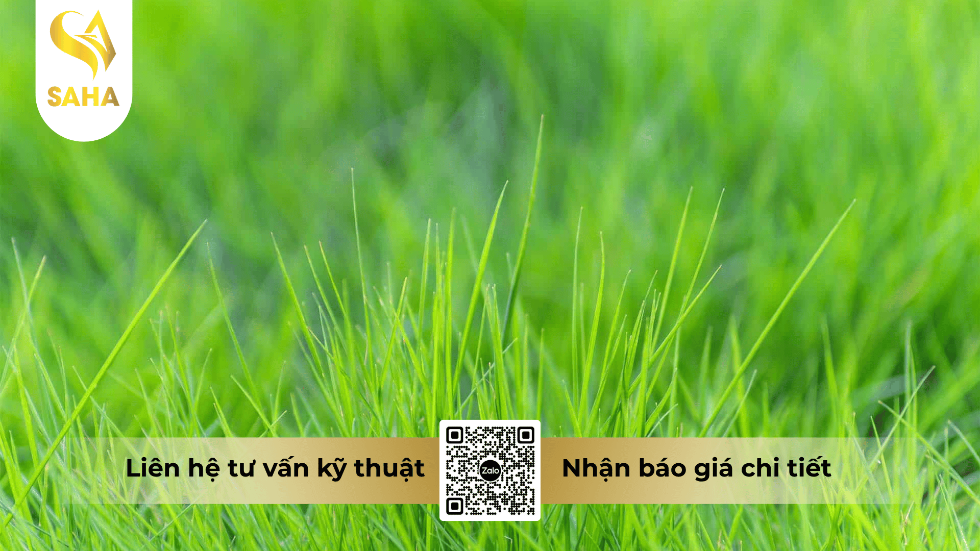 cong-dung-thuoc-tru-co-glufocide-200sl-hieu-sat-co-vuong.png