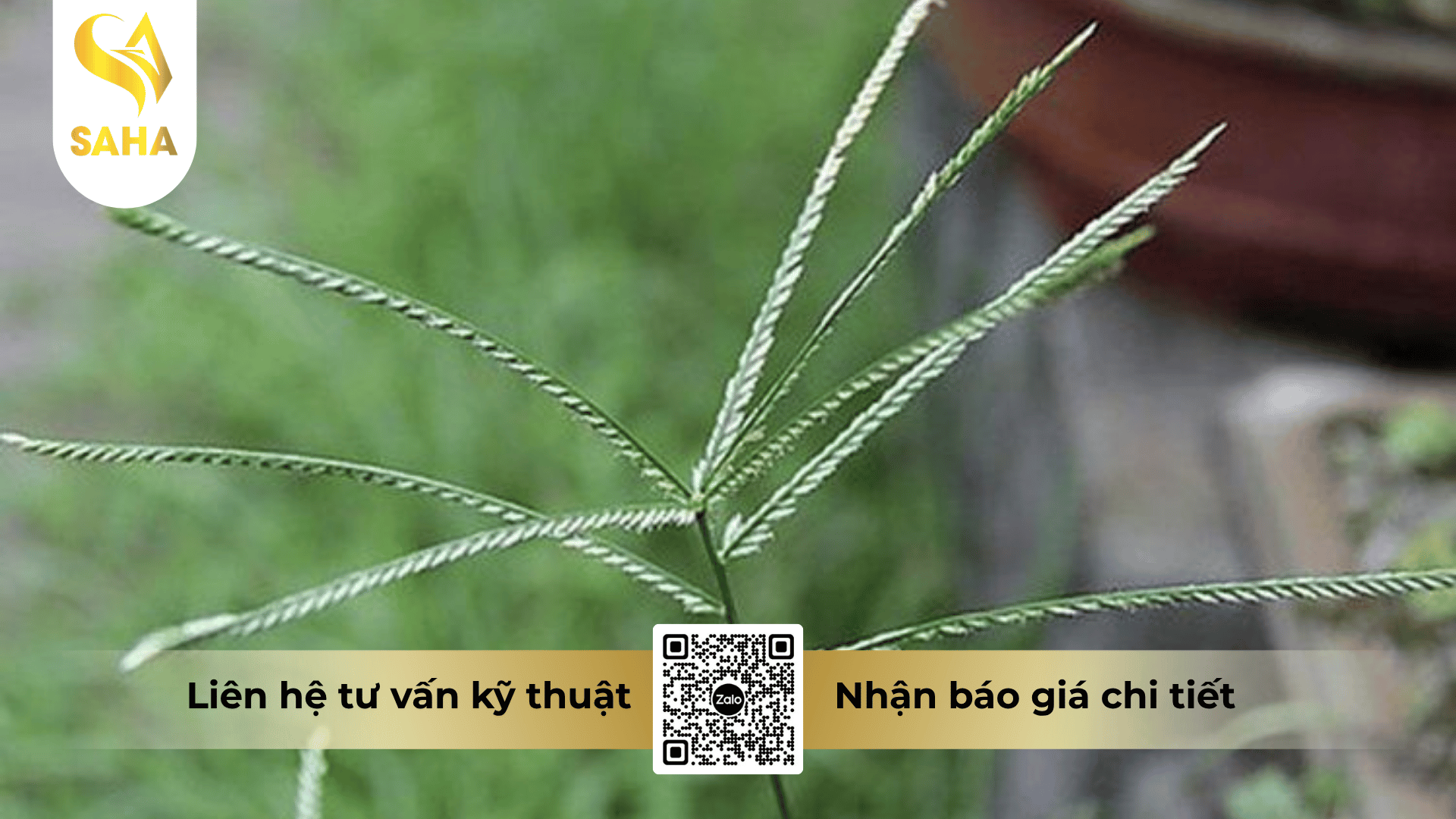cau-hoi-thuong-gap.png
