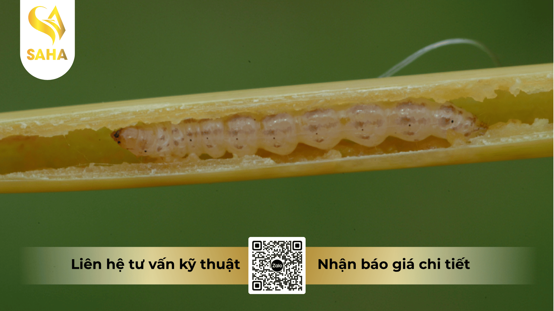 cong-dung-thuoc-tru-sau-ledan-95sp-hieu-lanser-97.png