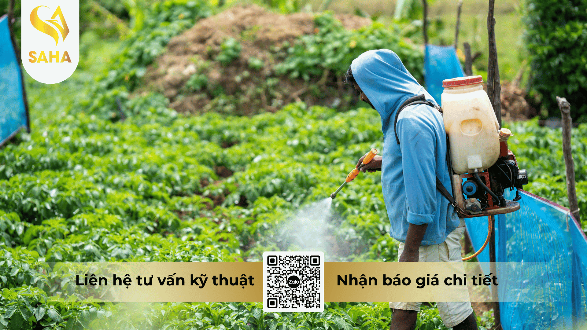 cau-hoi-thuong-gap.png