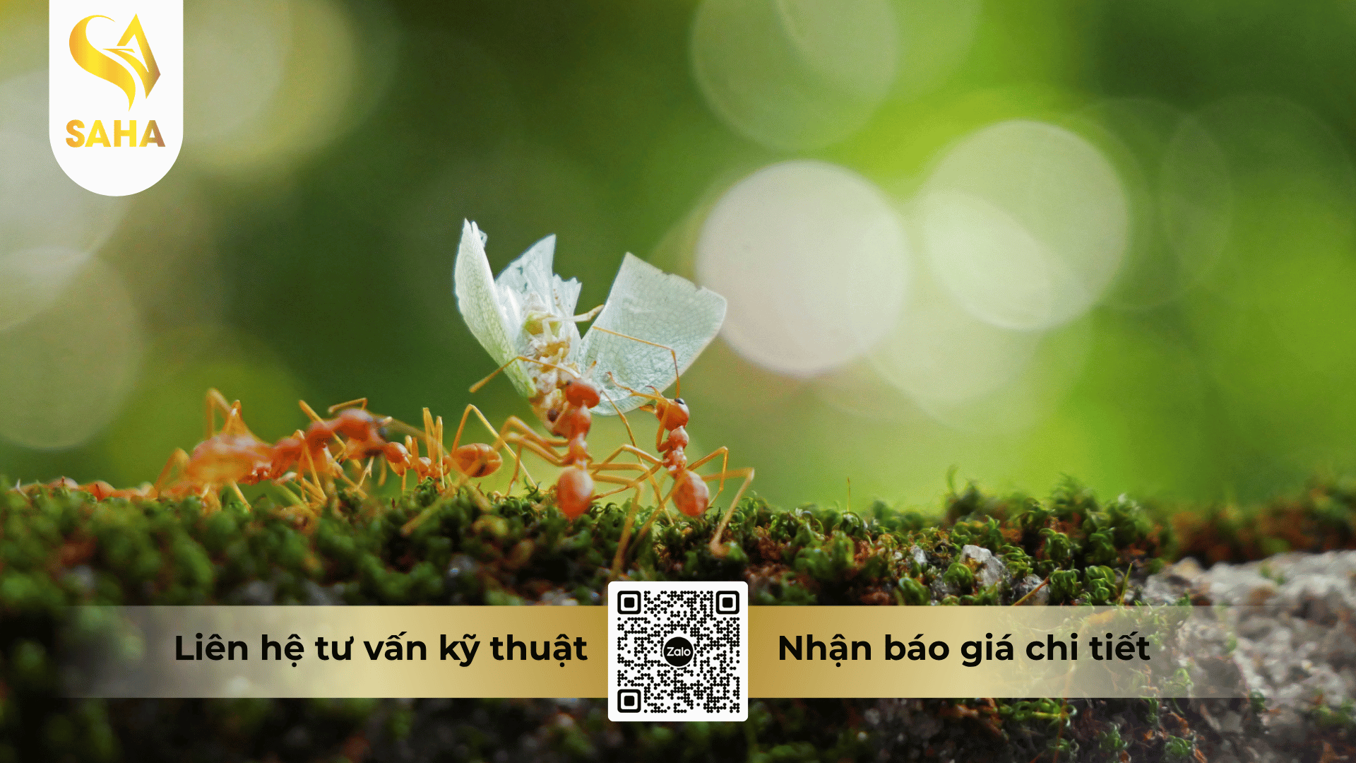 cong-dung-che-pham-chu-yang-sin-750ec.png