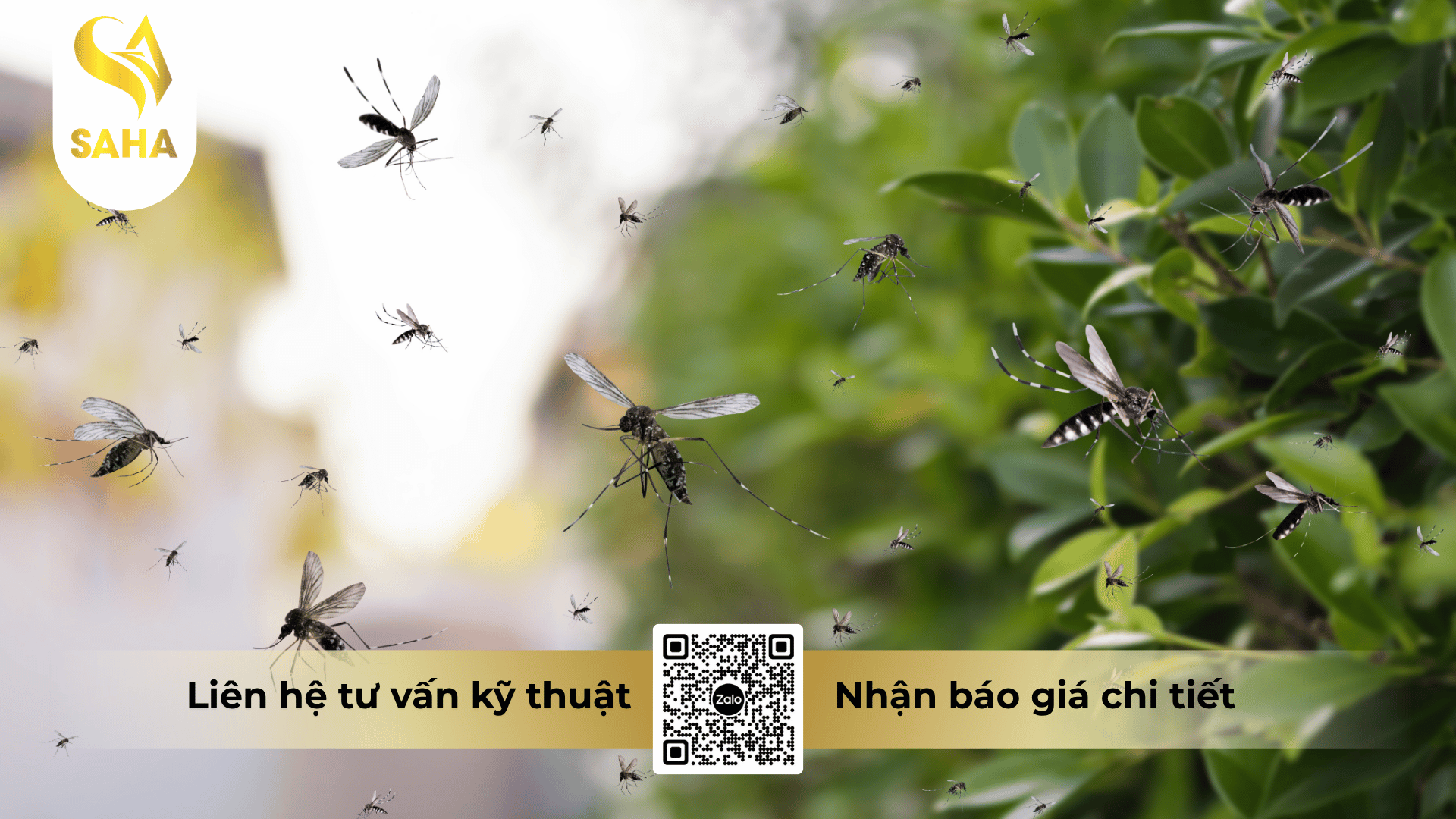 cong-dung-che-pham-safadan-65.png