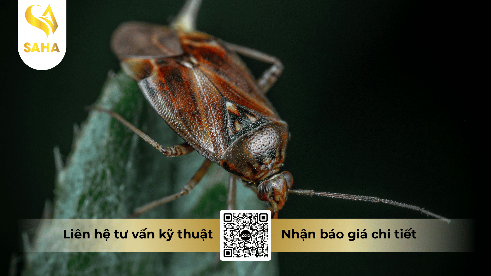 thong-tin-chung-che-pham-sata-chlorfenthrin-380sc.png