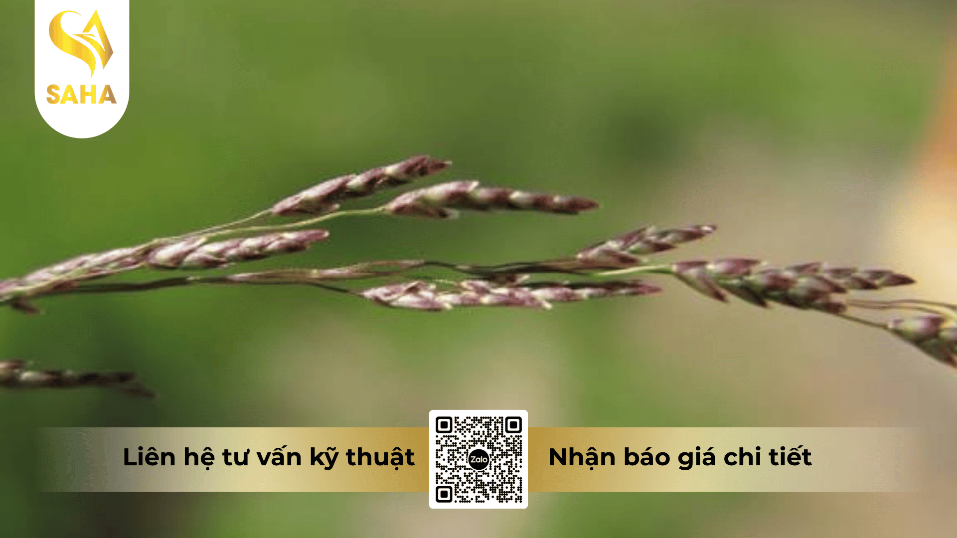 cong-dung-thuoc-tru-co-cledimsuper-250ec.png