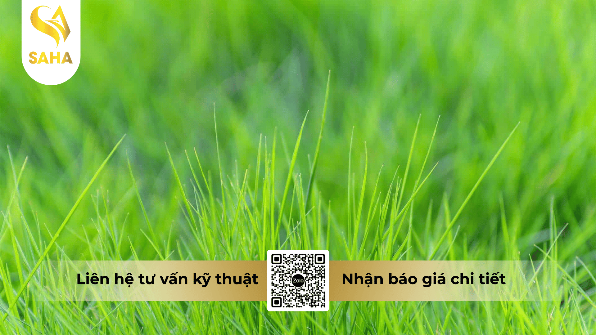 thong-tin-chung-thuoc-tru-co-co-chay-200sl.png