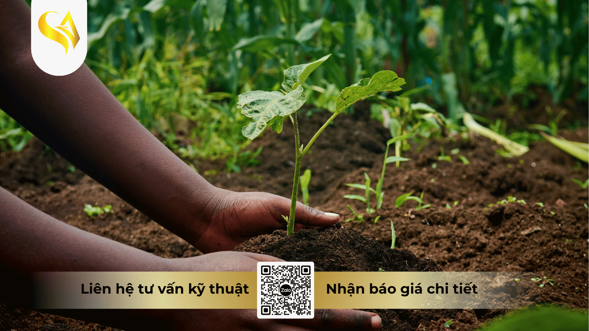 chi-phi-gia-cong-phan-bon-huu-co-phu-thuoc-vao-yeu-to-nao.png