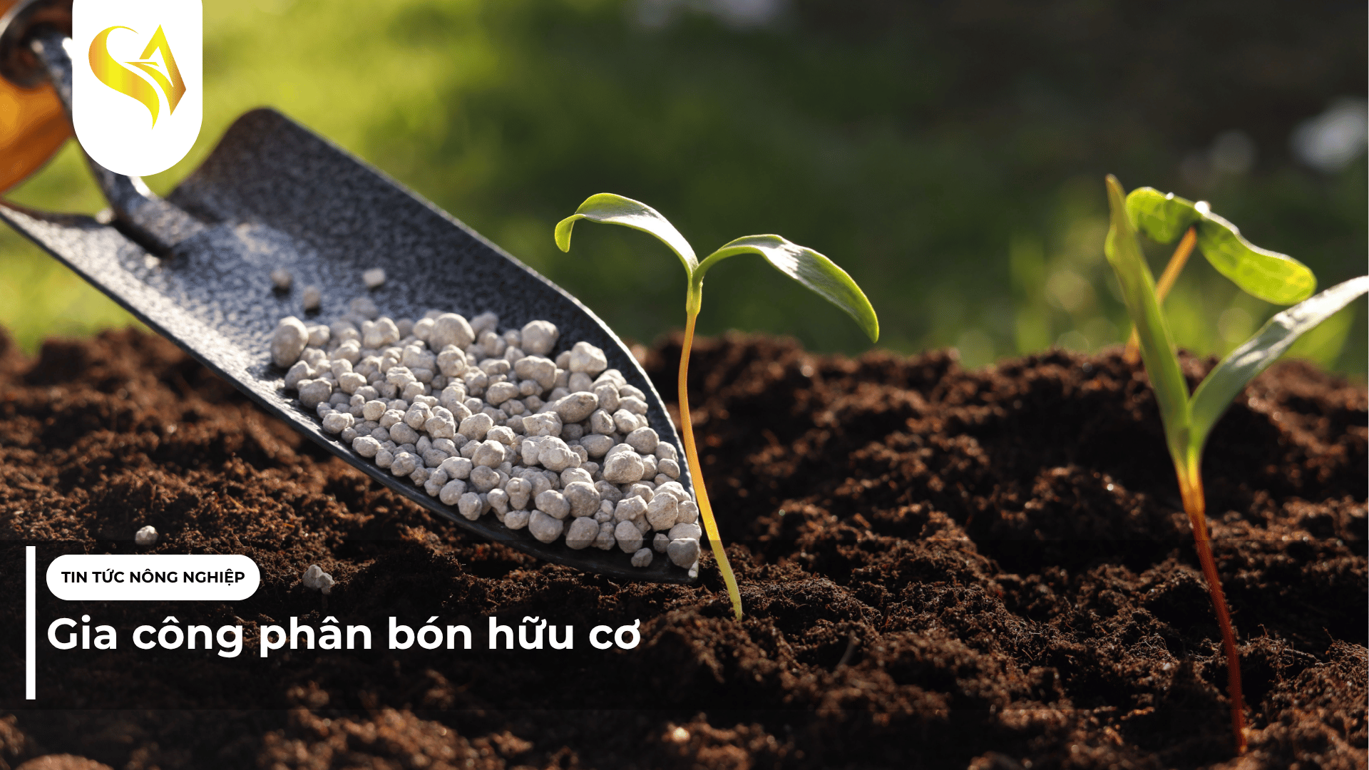 Gia công phân bón hữu cơ