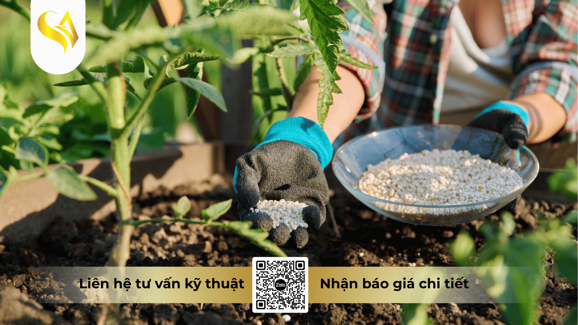 cac-nhom-phan-bon-co-the-dat-gia-cong.png