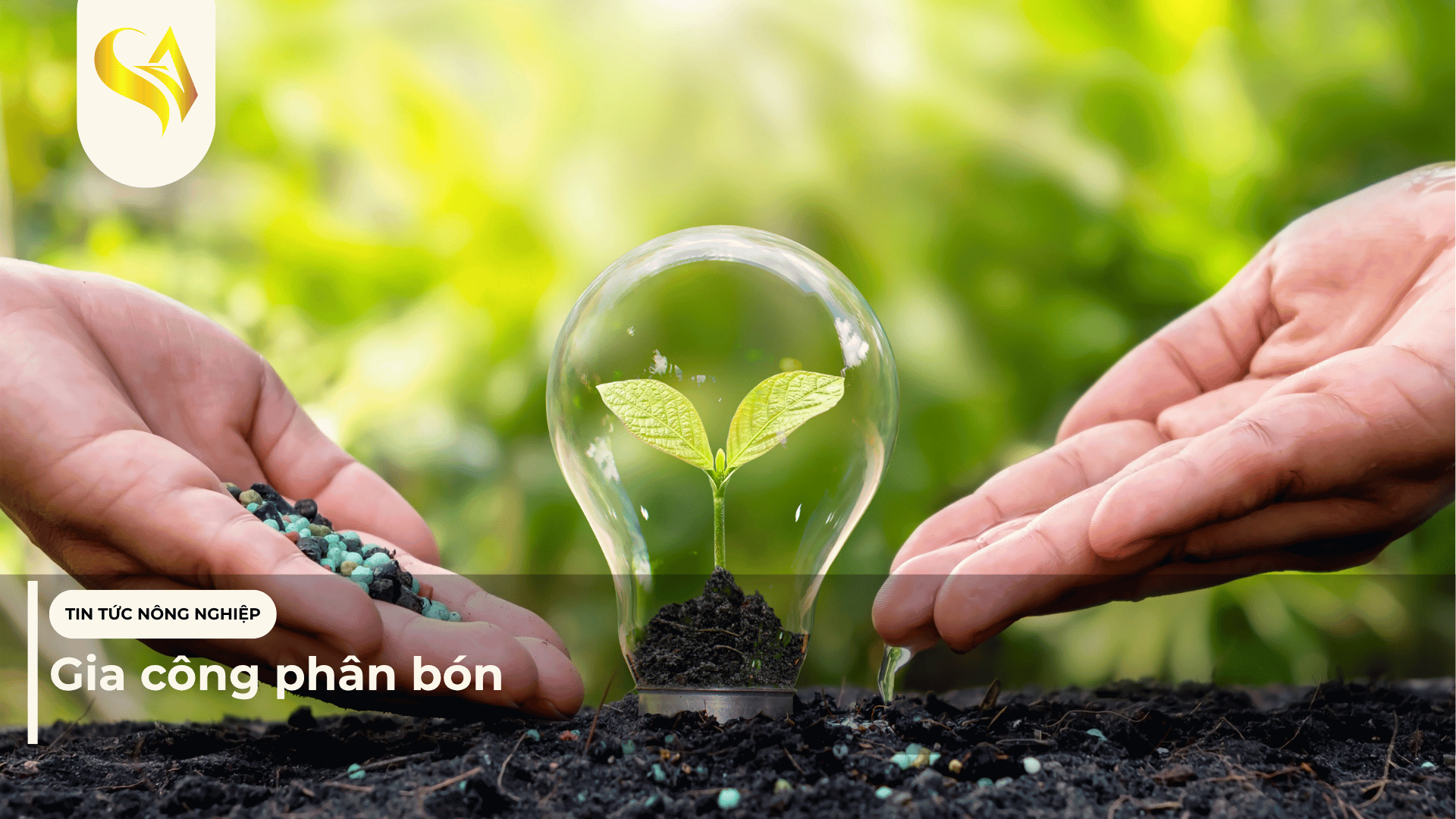 Gia công phân bón