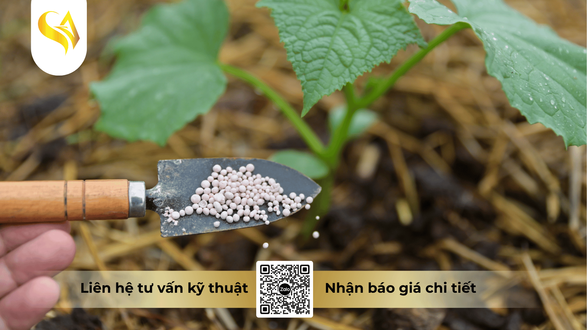 cau-hoi-thuong-gap-ve-nha-may-gia-cong-phan-bon.png
