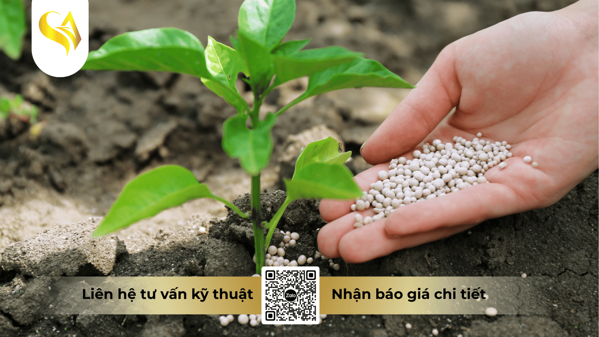 cau-hoi-thuong-gap-ve-chi-phi-gia-cong-phan-bon.png