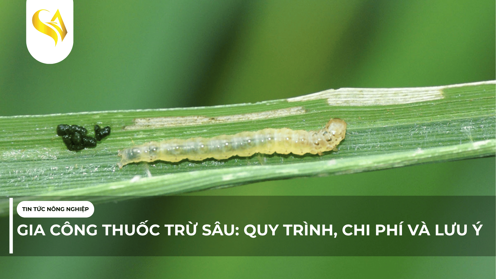 GIA CÔNG THUỐC TRỪ SÂU: QUY TRÌNH, CHI PHÍ VÀ LƯU Ý