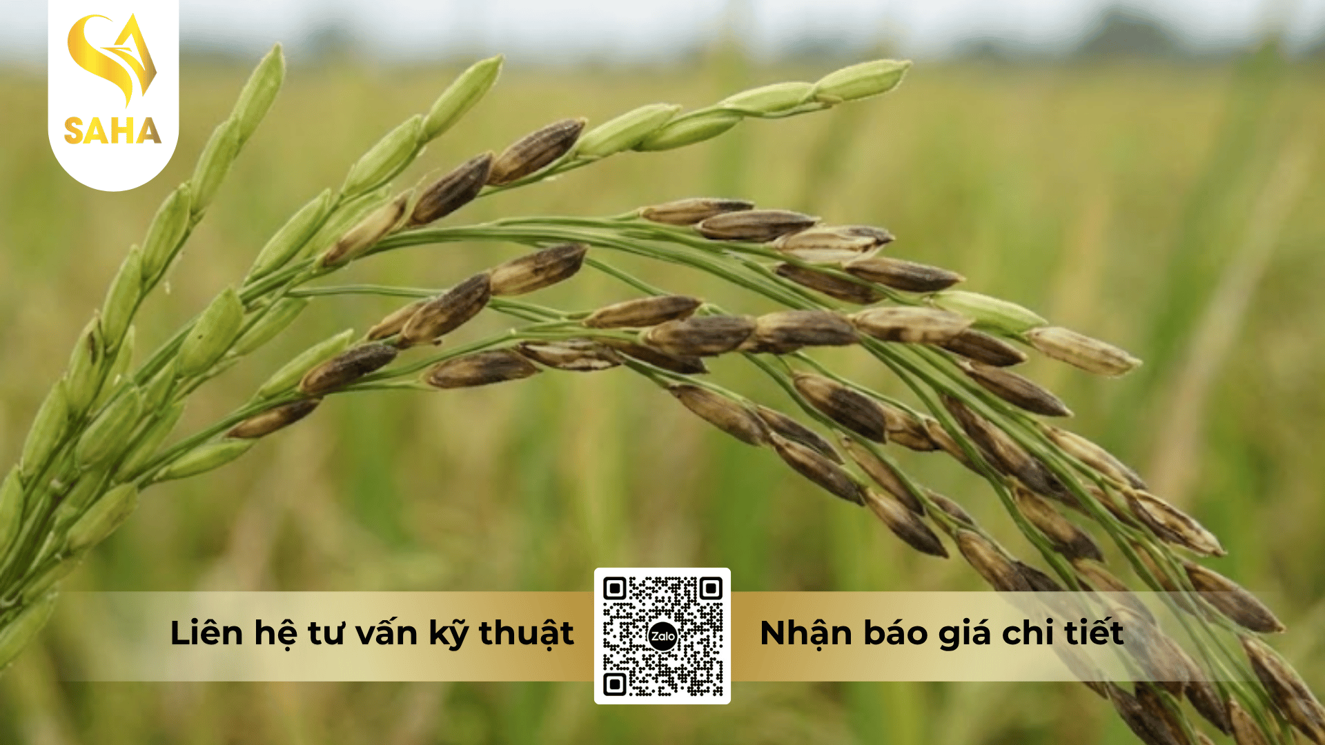cong-dung-thuoc-tru-benh-cyat-525wg.png