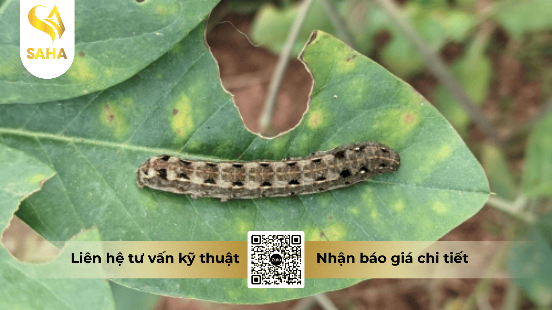 thong-tin-chung-thuoc-tru-sau-cymkill-25ec.png