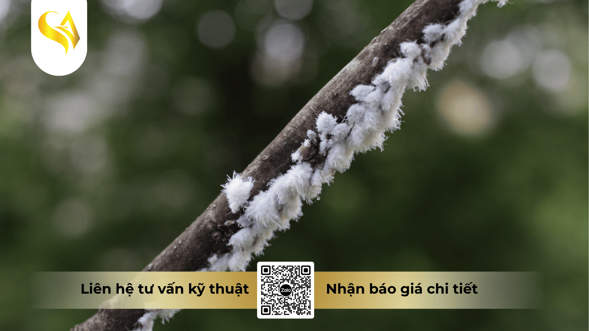 luan-phien-hoat-chat-the-nao-de-han-che-khang-thuoc.png