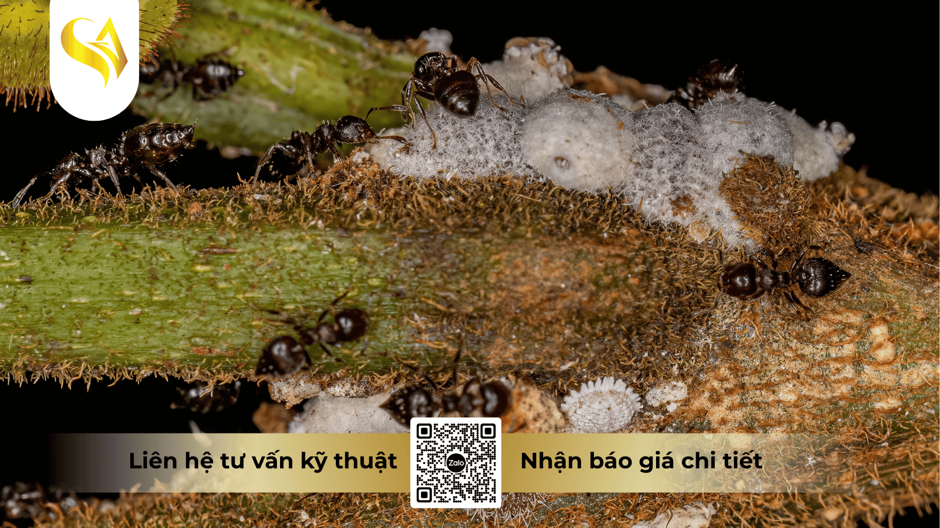 co-che-khang-thuoc-o-cap-do-sinh-hoc-va-phan-tu.png