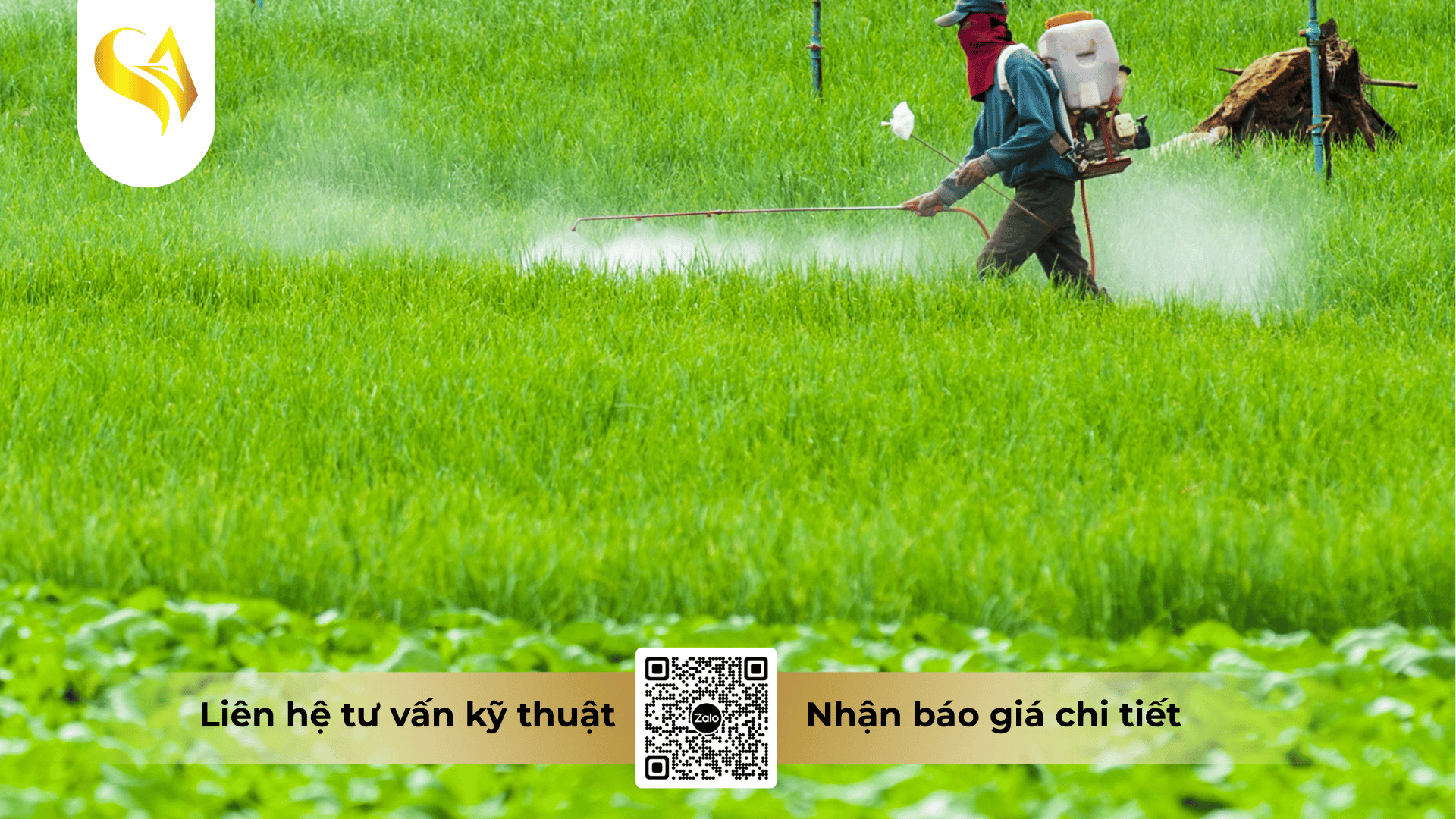 huong-dan-ky-thuat-phun-thuoc-phong-benh-dung-cach.png