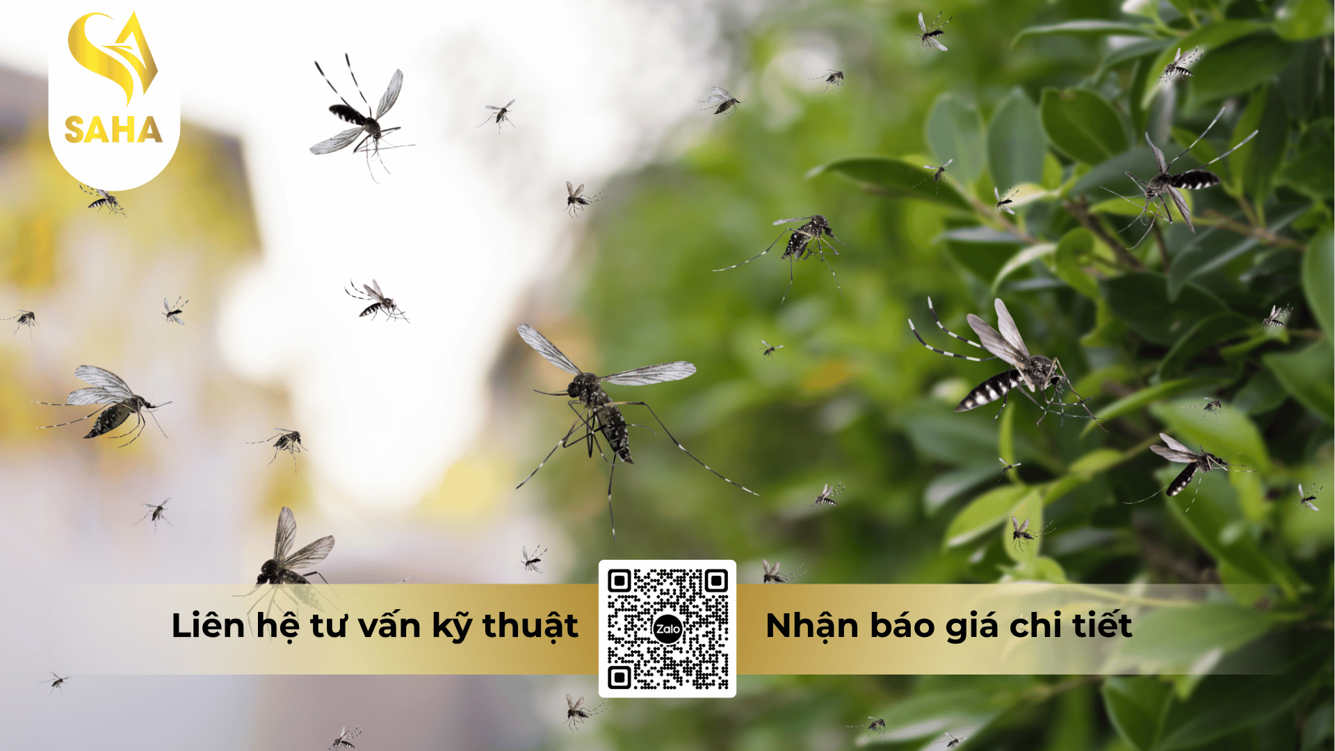 thong-tin-chung-che-pham-deka-100ec.png