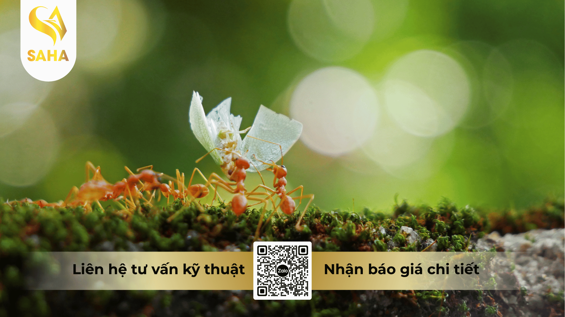 cong-dung-che-pham-deka-100ec.png