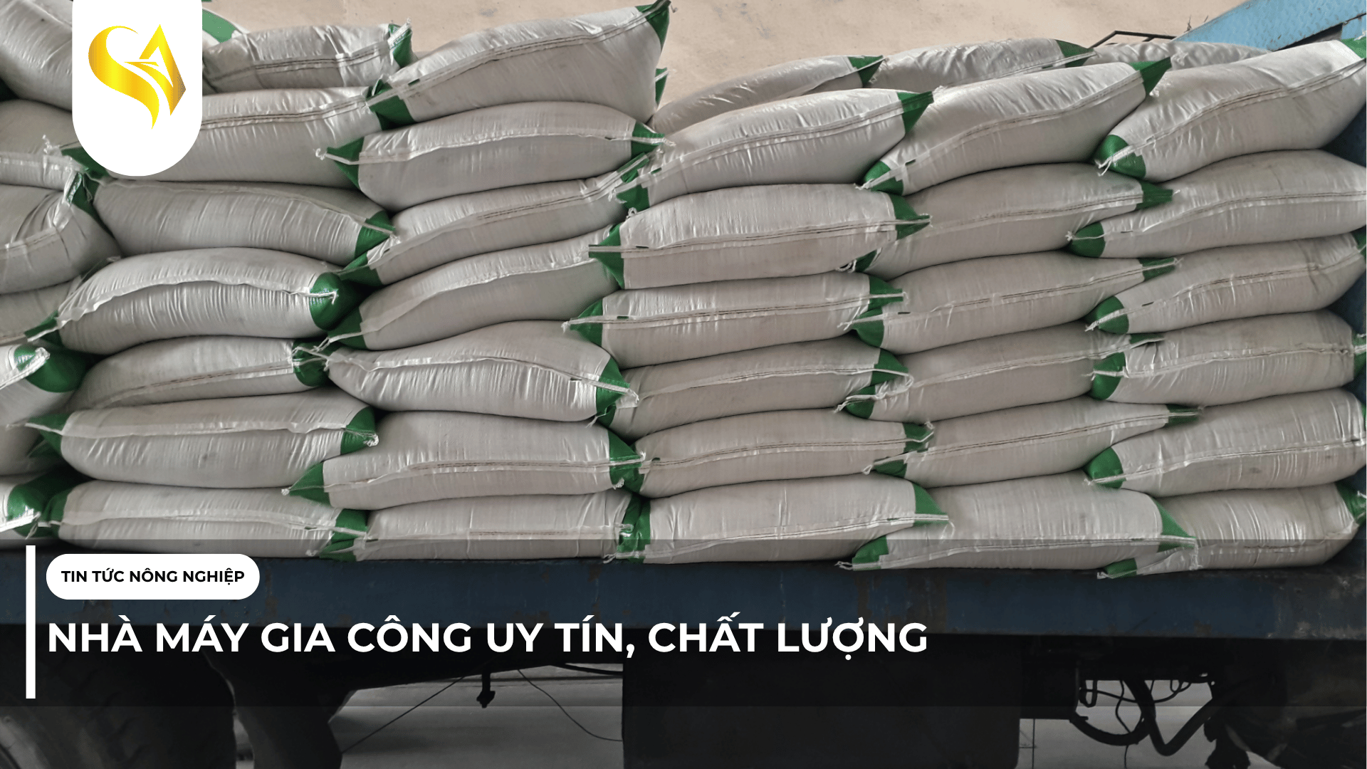 NHÀ MÁY GIA CÔNG UY TÍN, CHẤT LƯỢNG