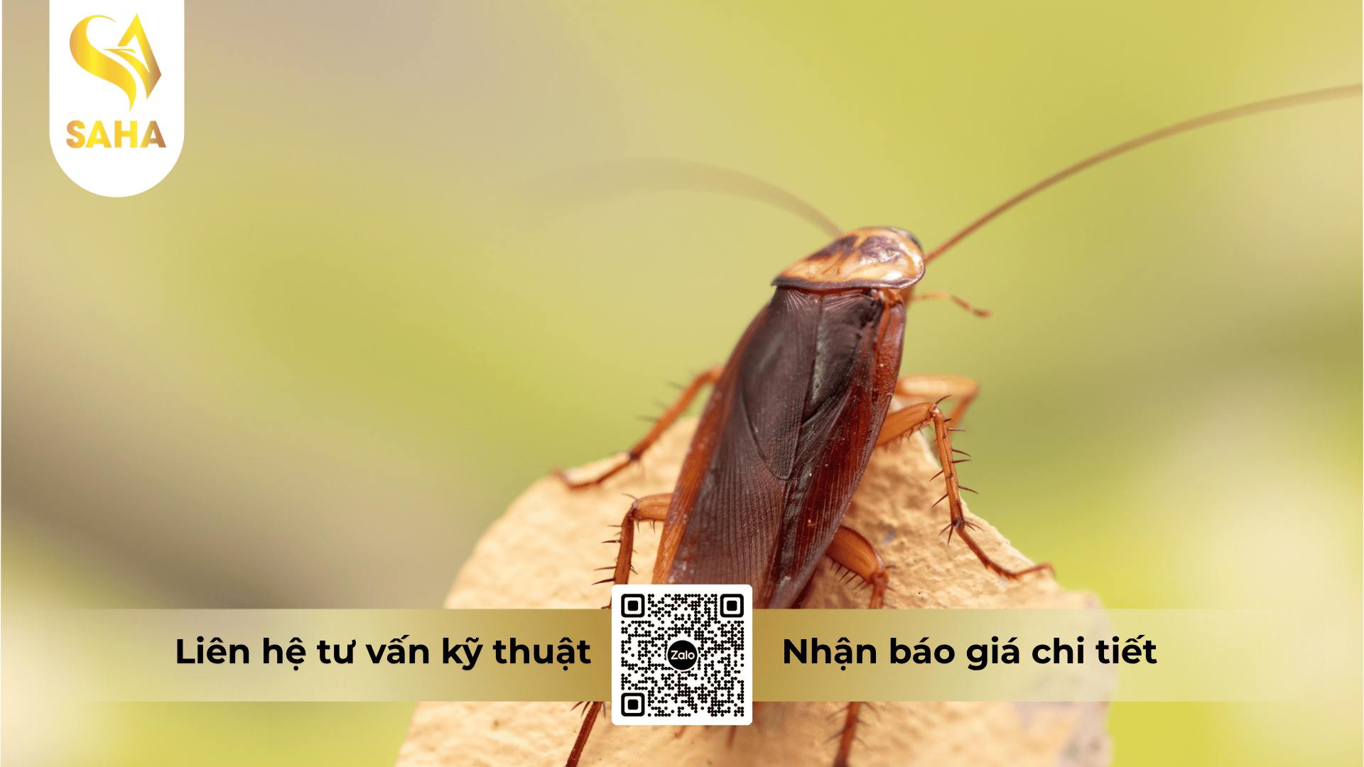 cong-dung-che-pham-detarin-25sc.png
