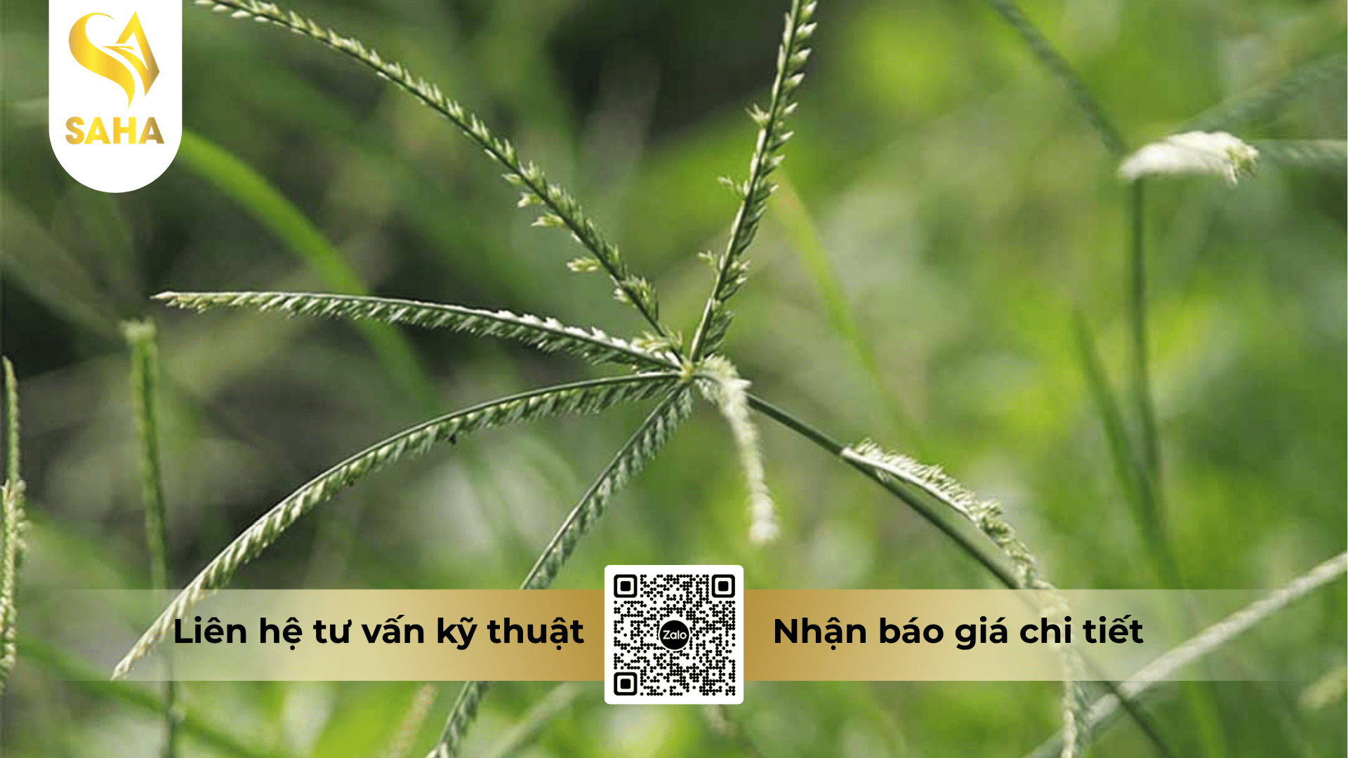 thong-tin-chung-thuoc-tru-co-dietcomam-65ec.png